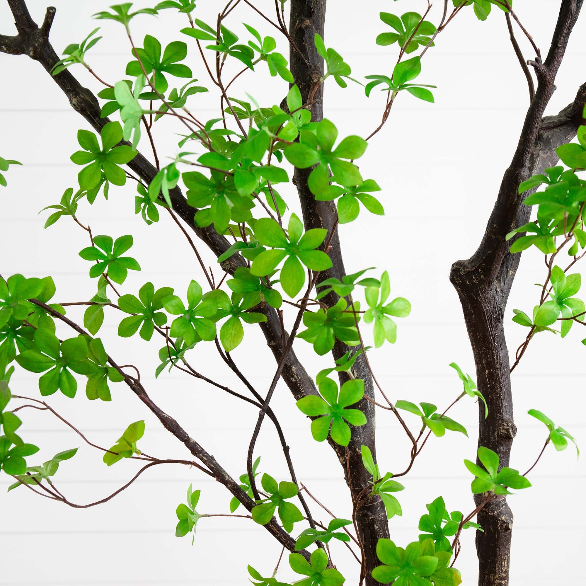 10’ Artificial Minimalist Enkianthus Tree - Image 2