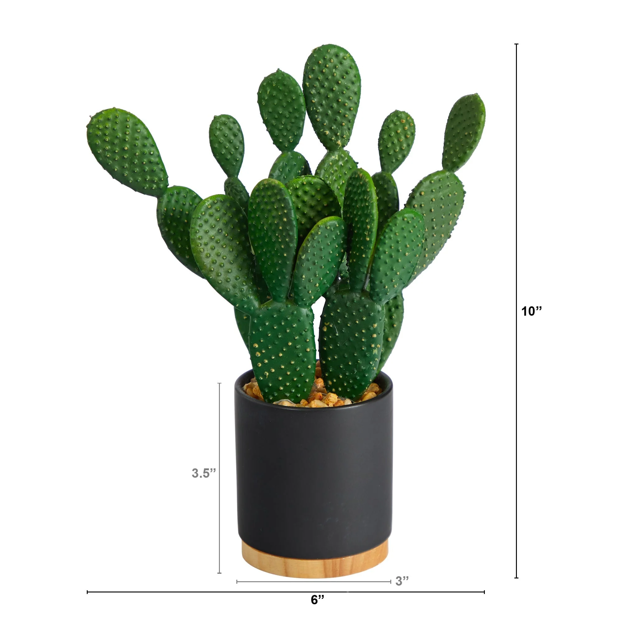 10” Cactus Succulent Artificial Plant in Planter - Image 2