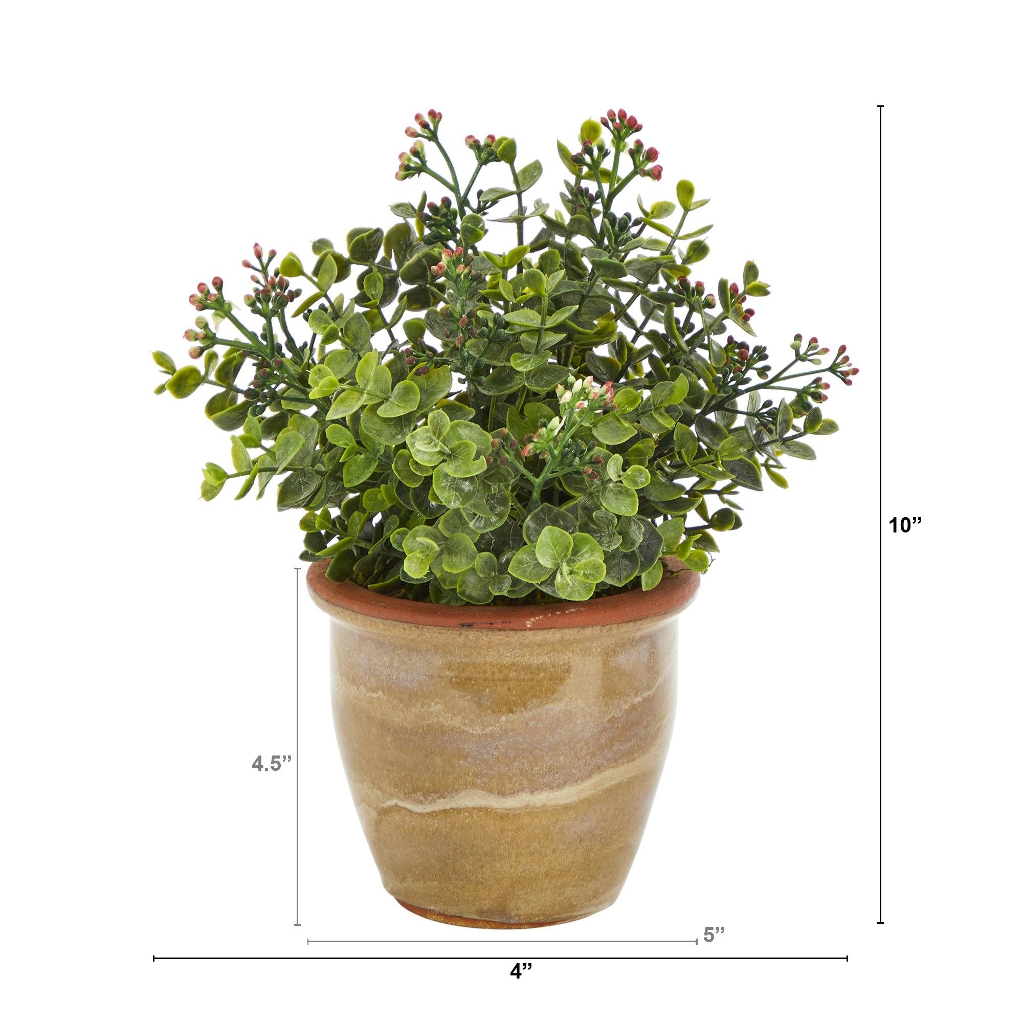 10” Eucalyptus and Sedum Succulent Artificial Plant in Ceramic Planter - Image 2