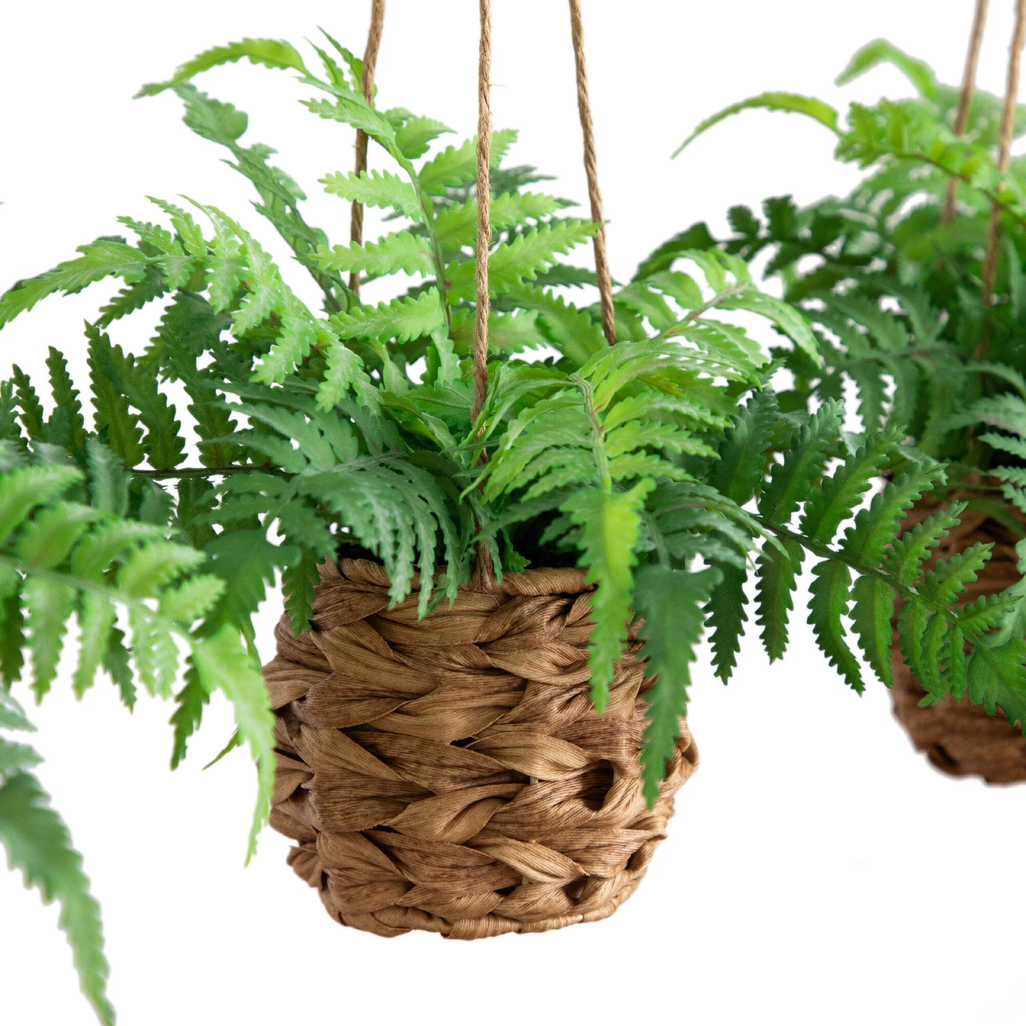 10” UV Resistant Artificial Boston Fern in Hanging Wicker Basket (Indoor/Outdoor) - Set of 3 - Image 2