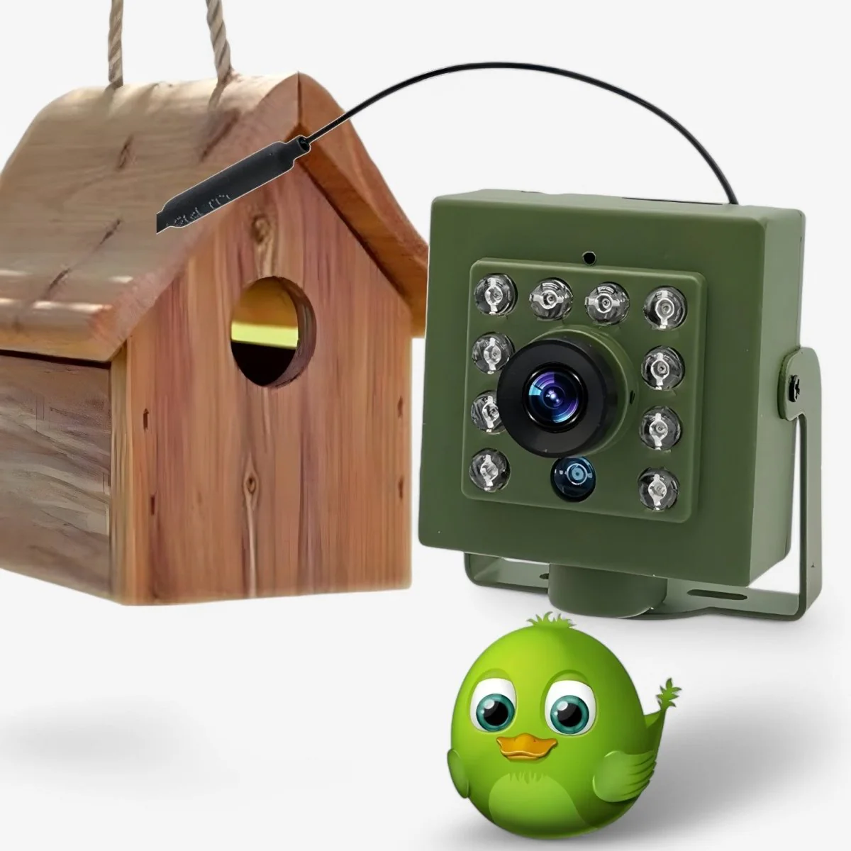 1080P HD Wildlife Camera Bird Watching WiFi Outdoor IP66 Night Vision Camera - Image 2