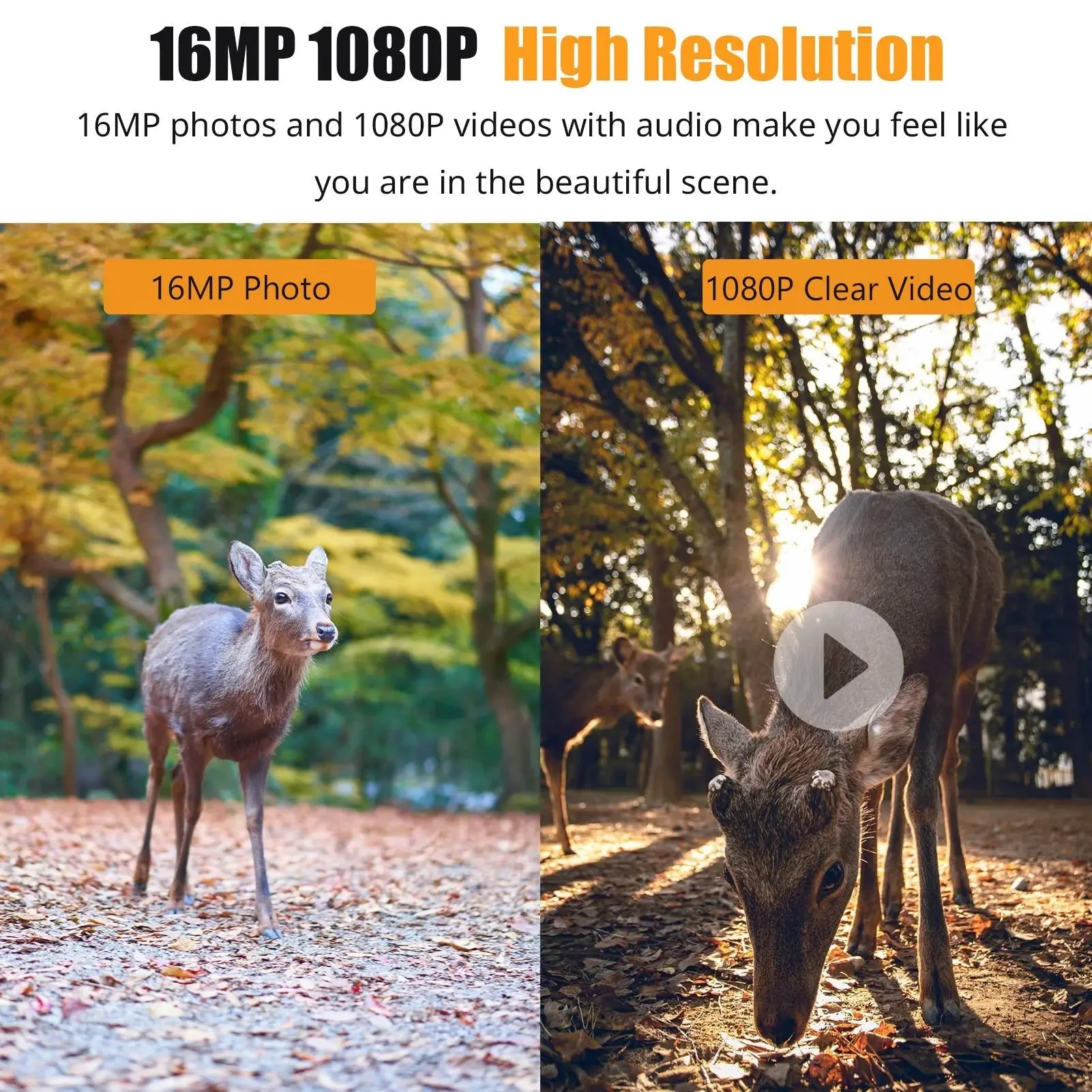1080P Trail Camera 16MP Night Vision Wildlife Hunting Camera IP66 Waterproof - Image 2