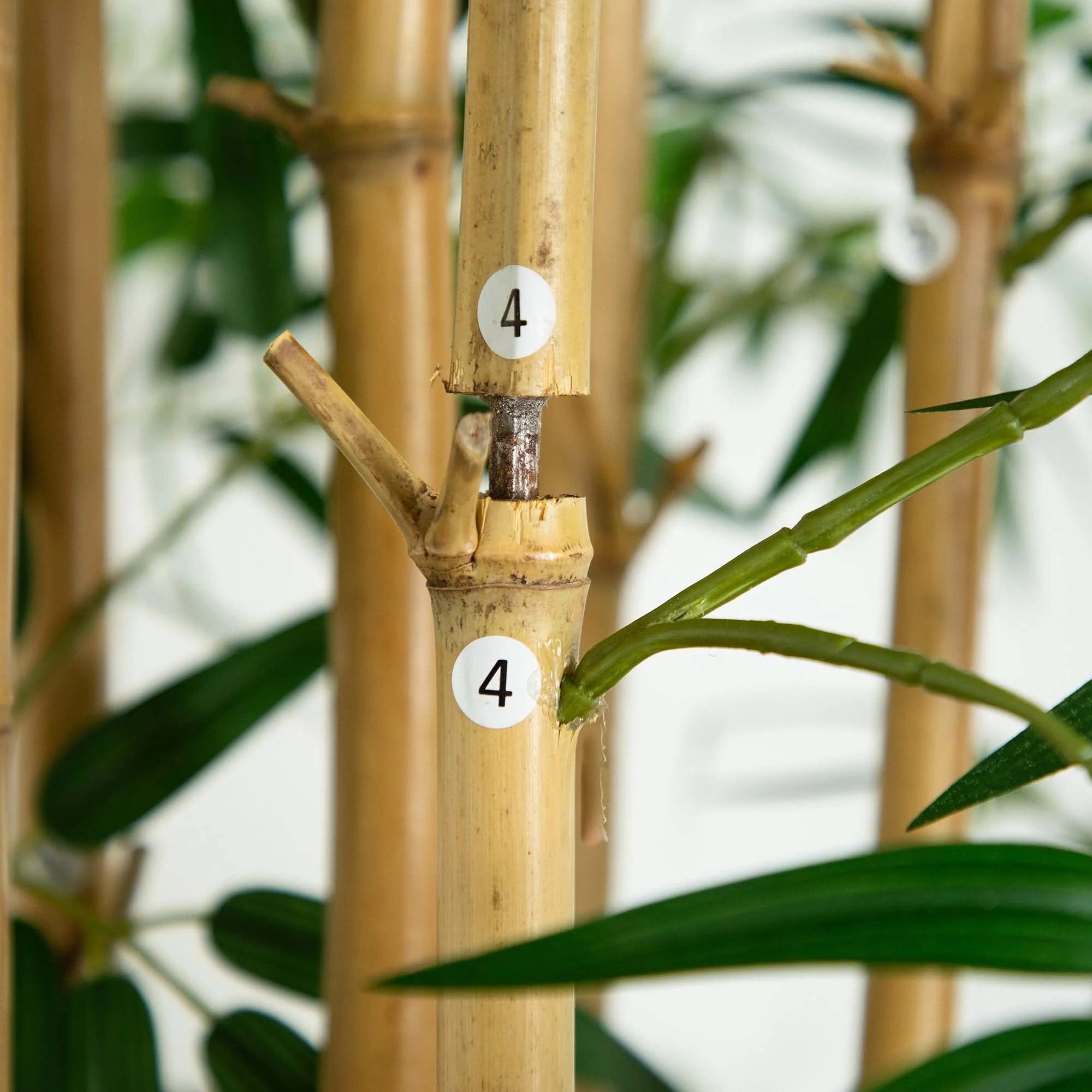 11’ Artificial Bamboo Tree with Real Bamboo Trunks - Image 6