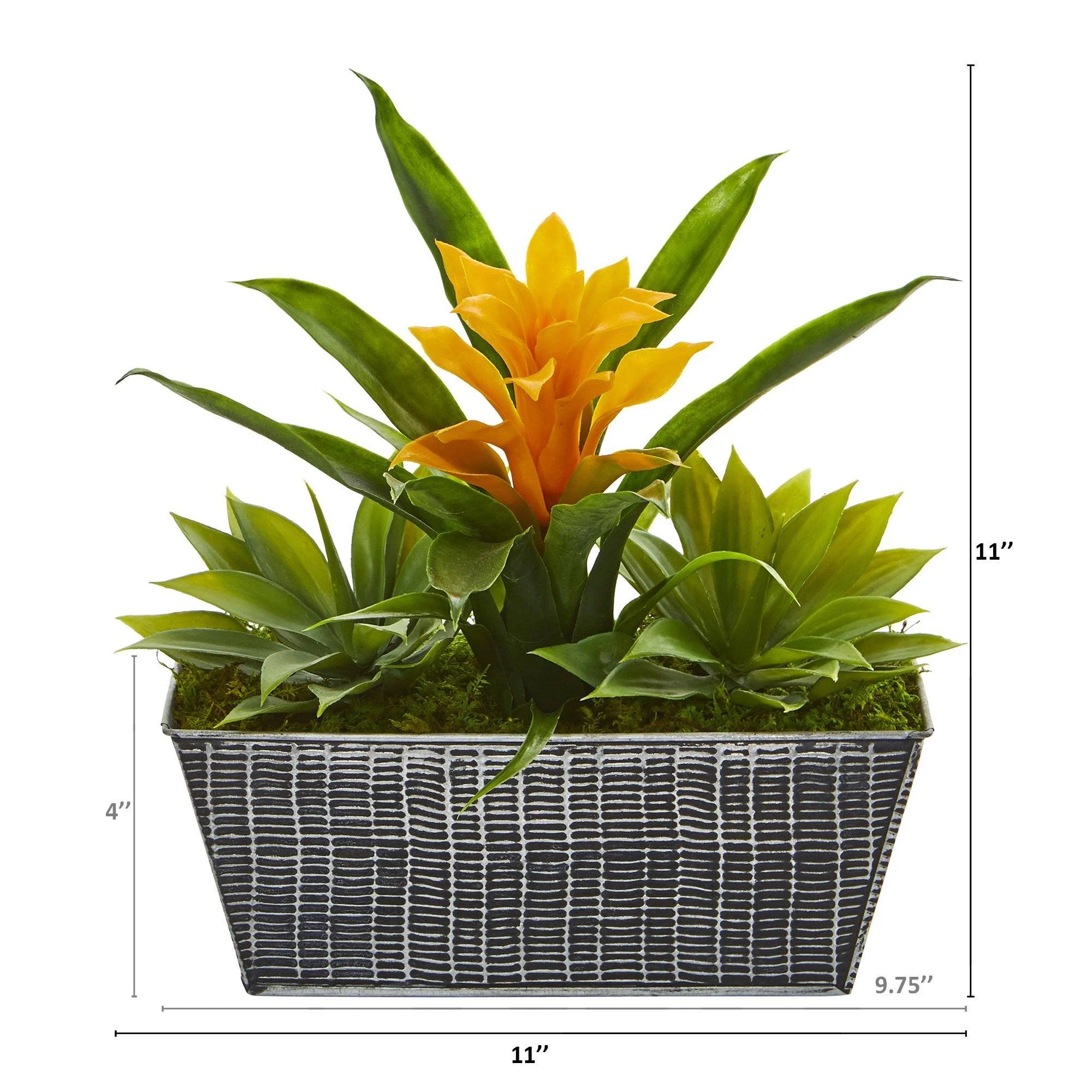 11” Bromeliad and Agave Plant in Black Tin Planter - Image 3