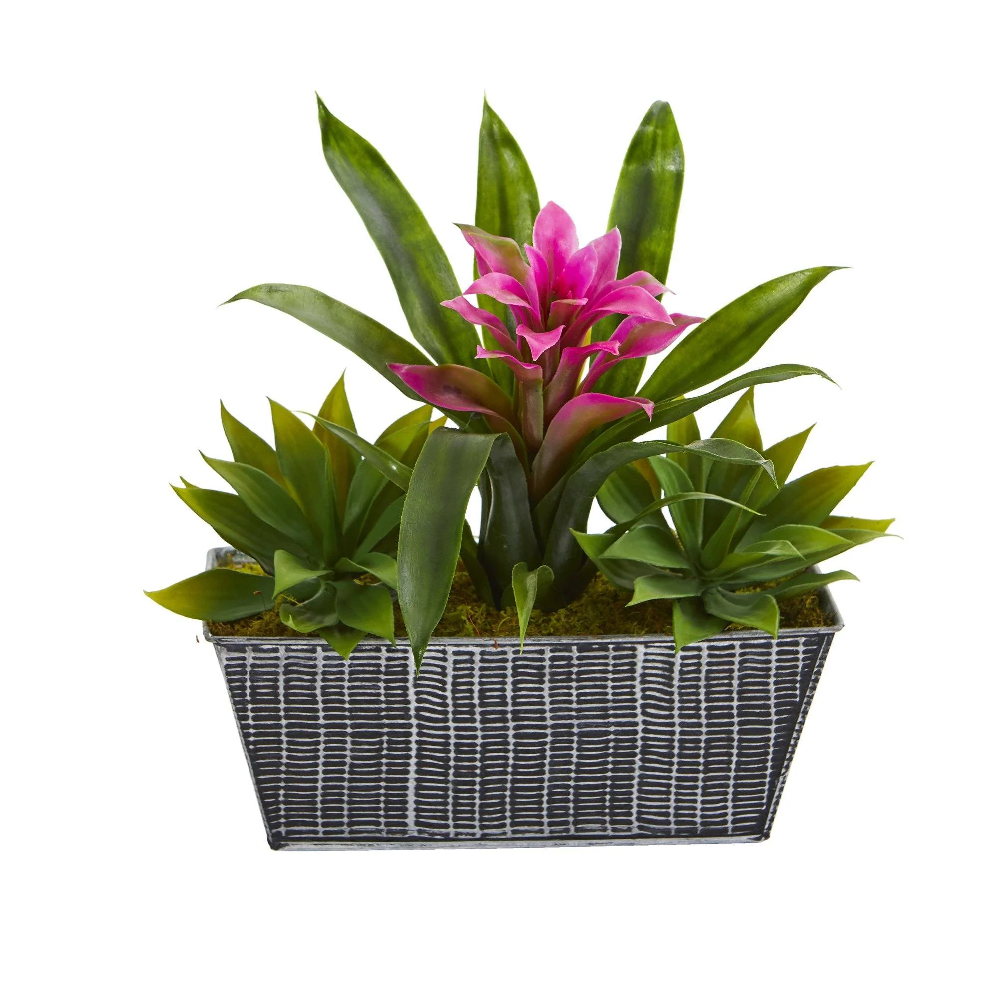 11” Bromeliad and Agave Plant in Black Tin Planter - Image 4
