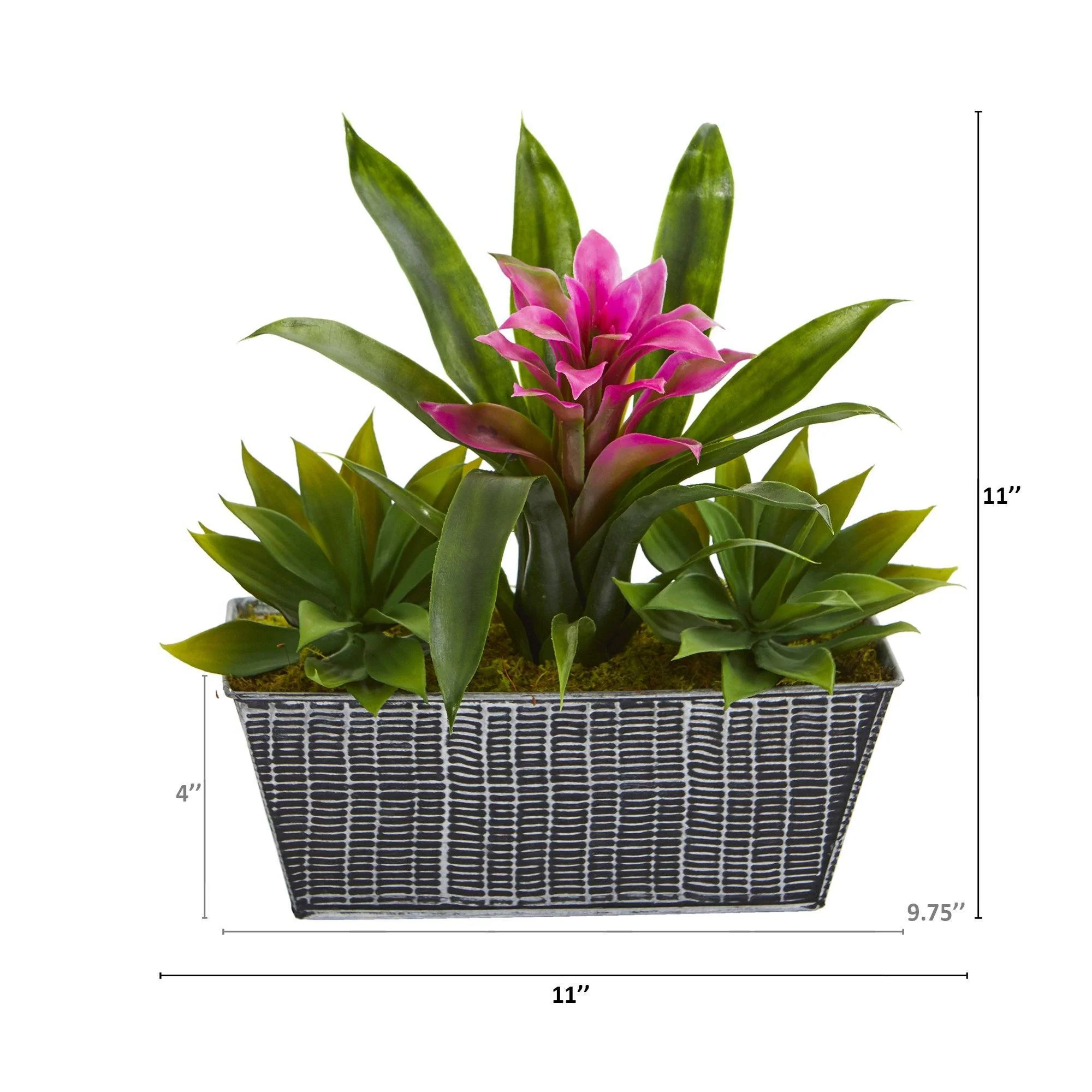 11” Bromeliad and Agave Plant in Black Tin Planter - Image 5