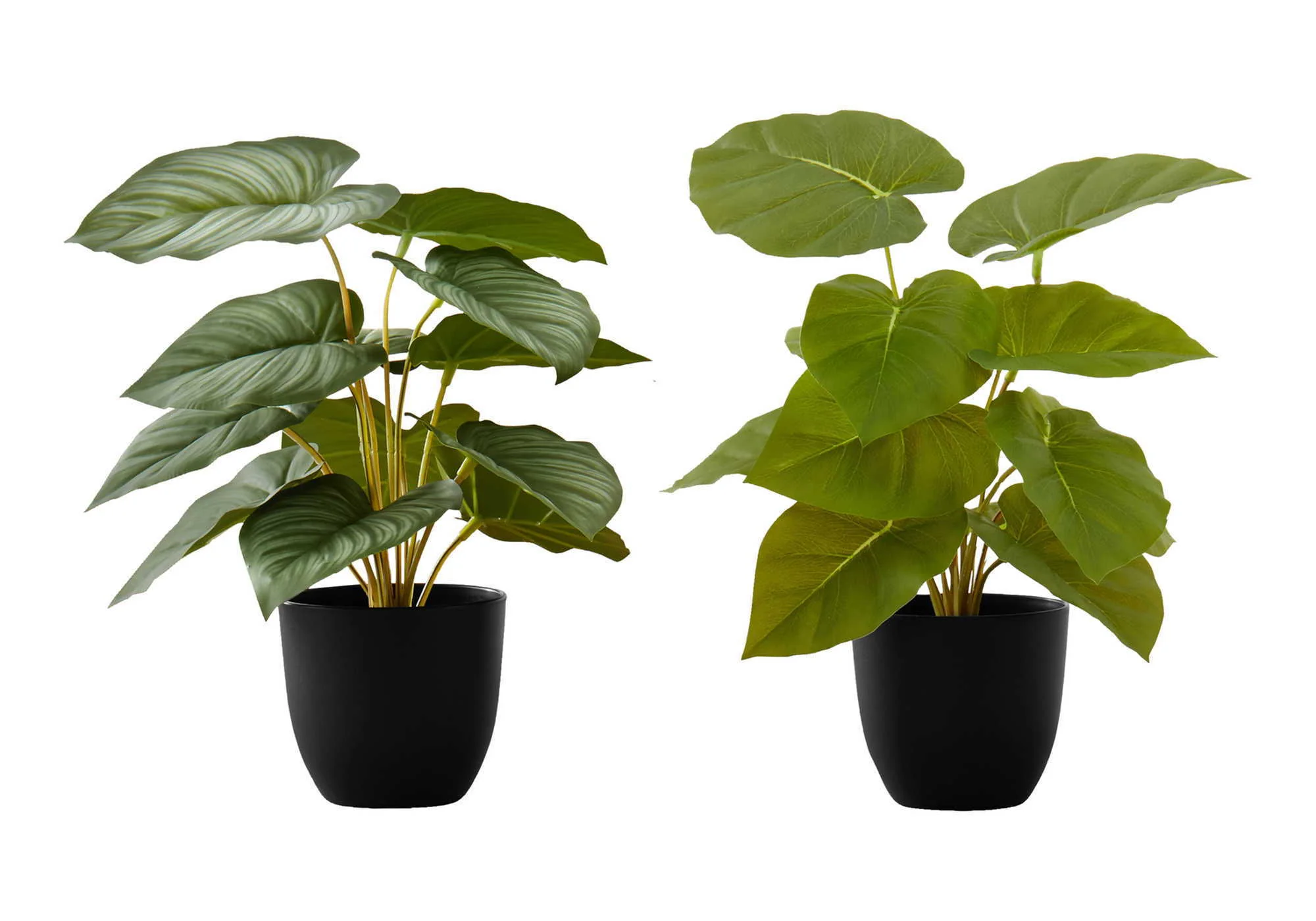13" Tall, Artificial Plant, Epipremnum, Indoor, Faux, Fake, Table, Greenery, Potted, Decorative (Set of 2) - Green / Black - Image 3