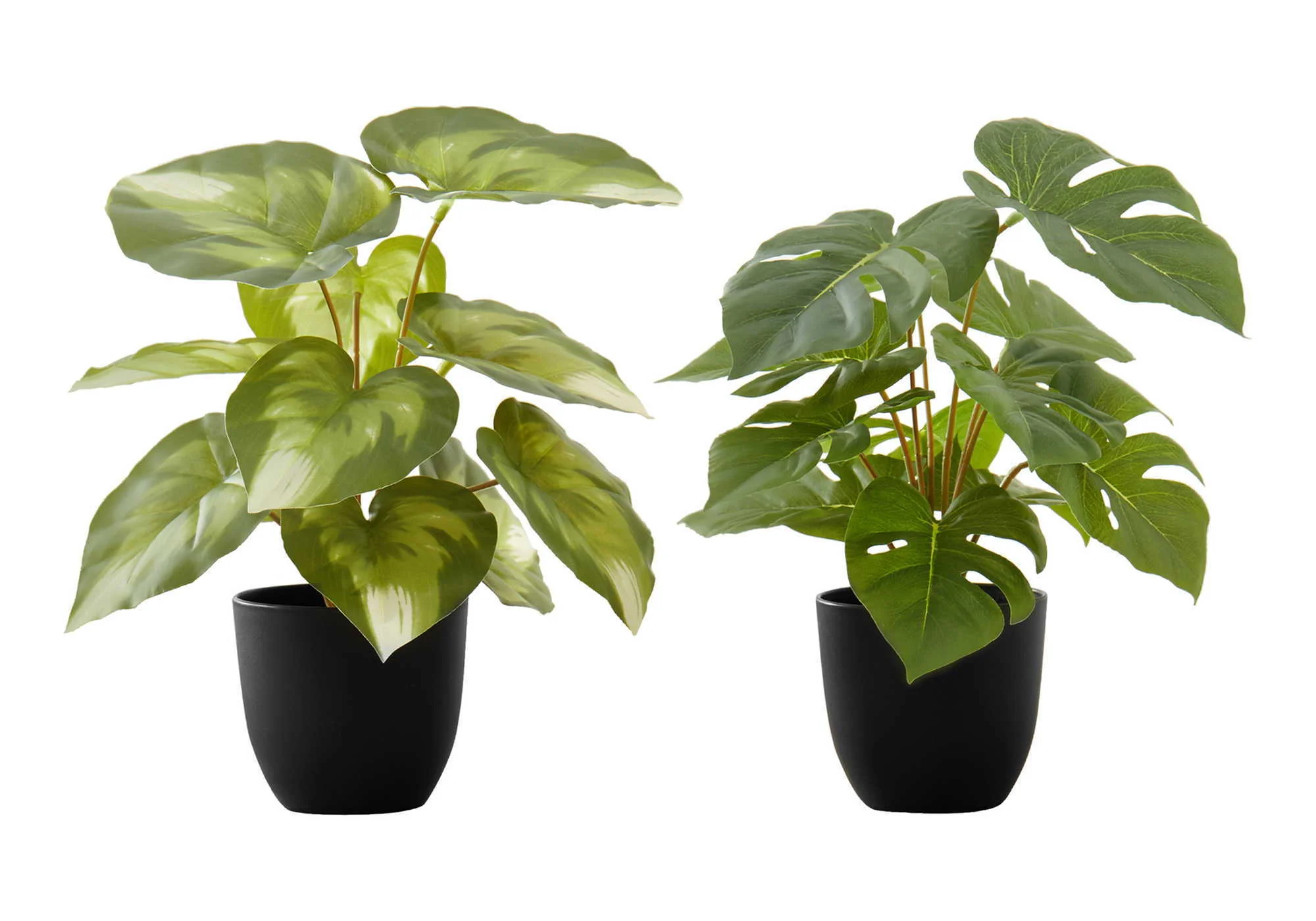 13" Tall, Artificial Plant, Monstera Calthea, Indoor, Faux, Fake, Table, Greenery, Potted, Decorative (Set of 2) - Green / Black - Image 2