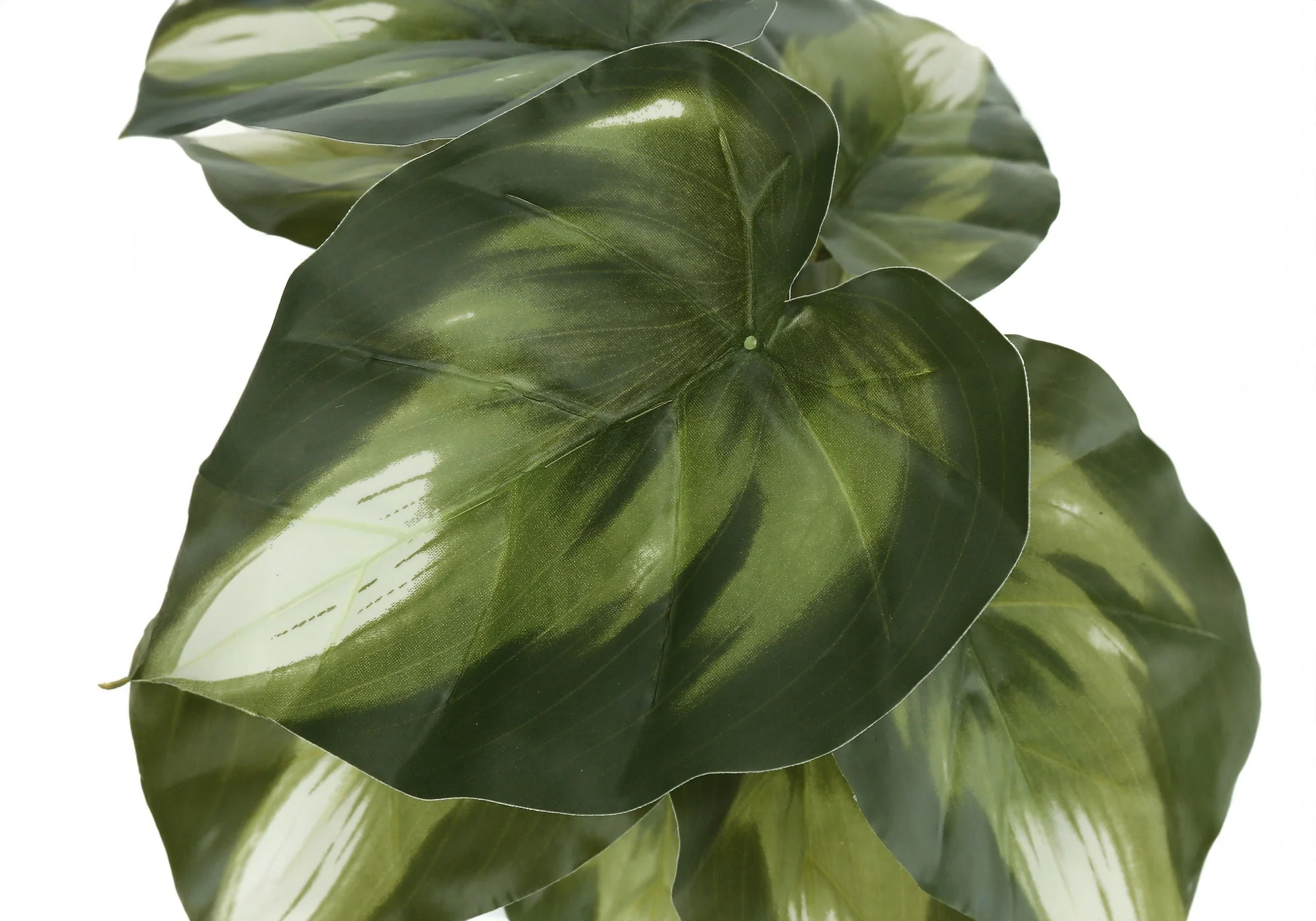 13" Tall, Artificial Plant, Monstera Calthea, Indoor, Faux, Fake, Table, Greenery, Potted, Decorative (Set of 2) - Green / Black - Image 4