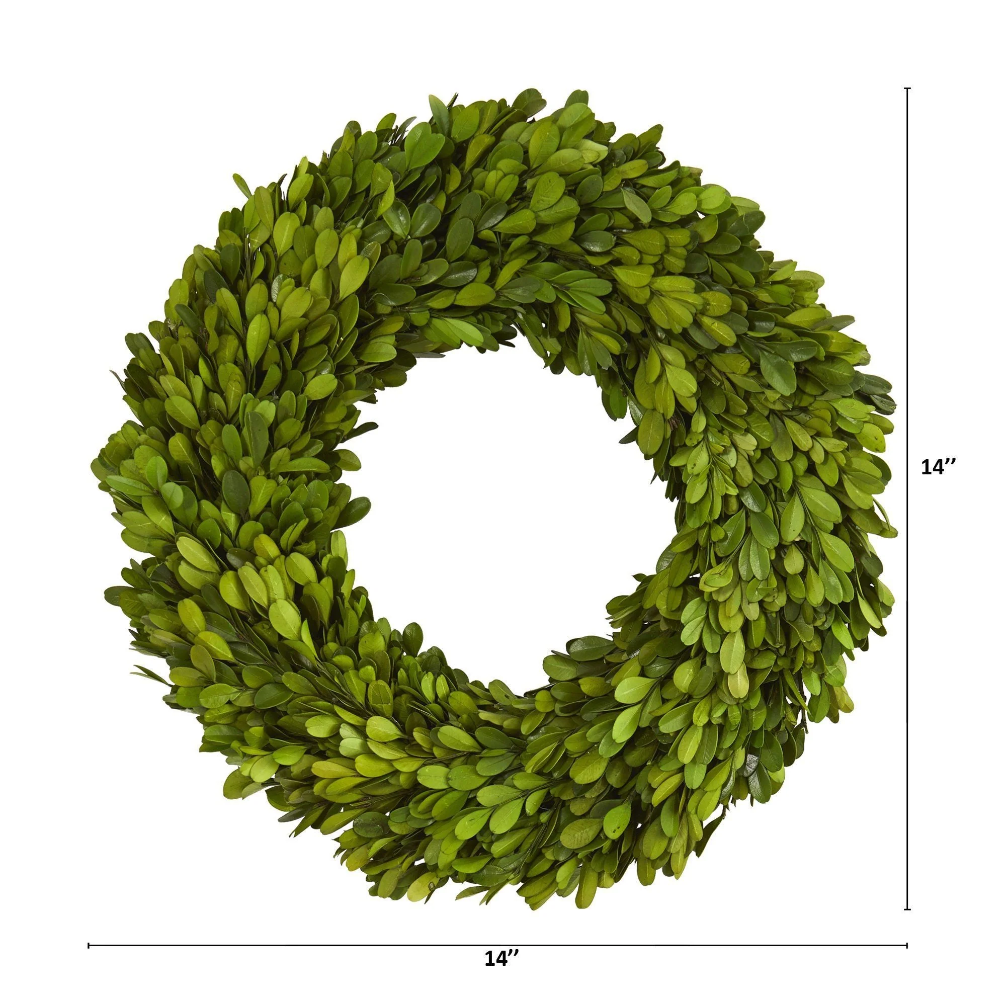 14” Preserved Boxwood Wreath - Image 2