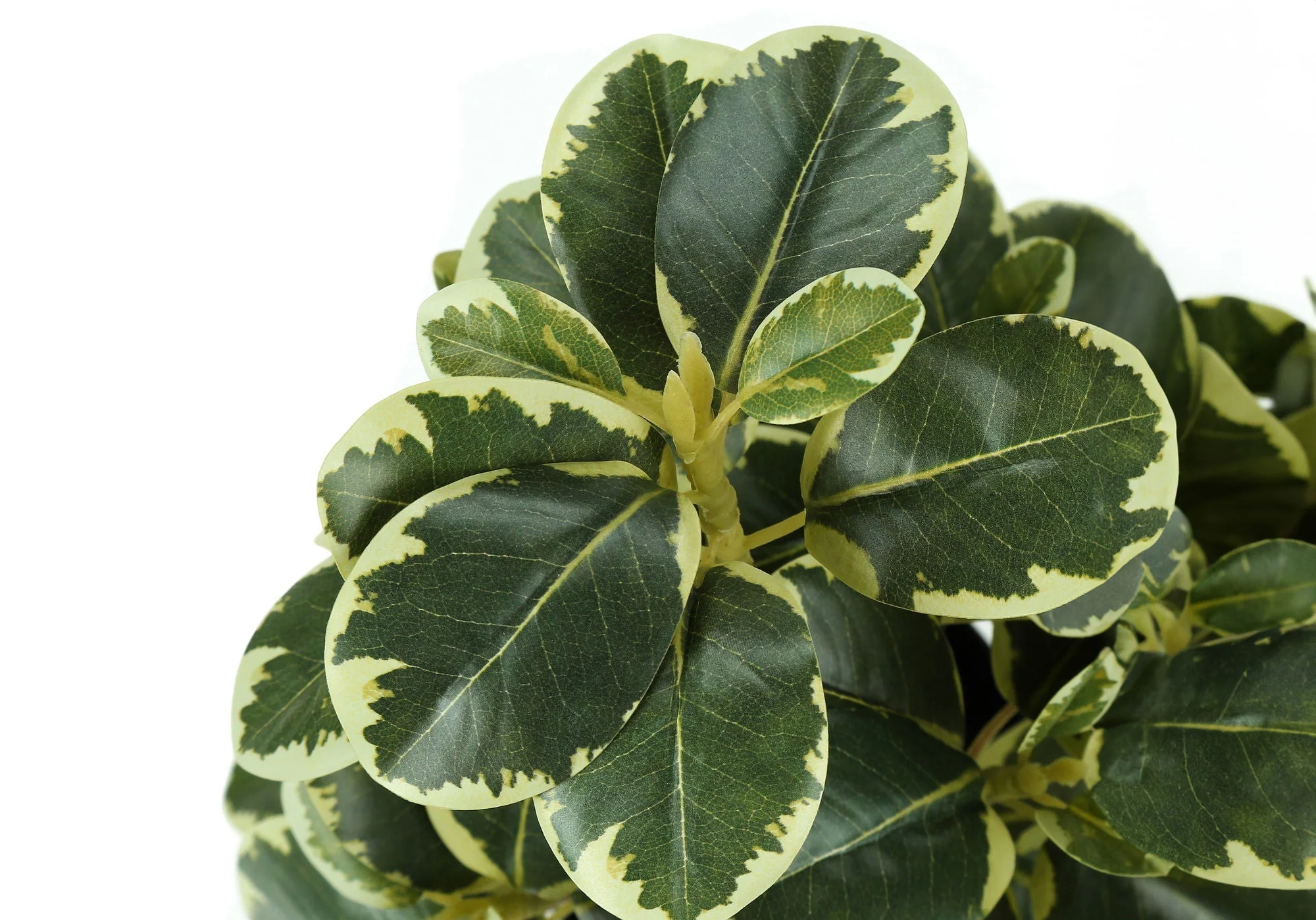 14" Tall, Artificial Plant, Ficus, Indoor, Faux, Fake, Table, Greenery, Potted, Decorative (Set of 2) - Green / Black - Image 2