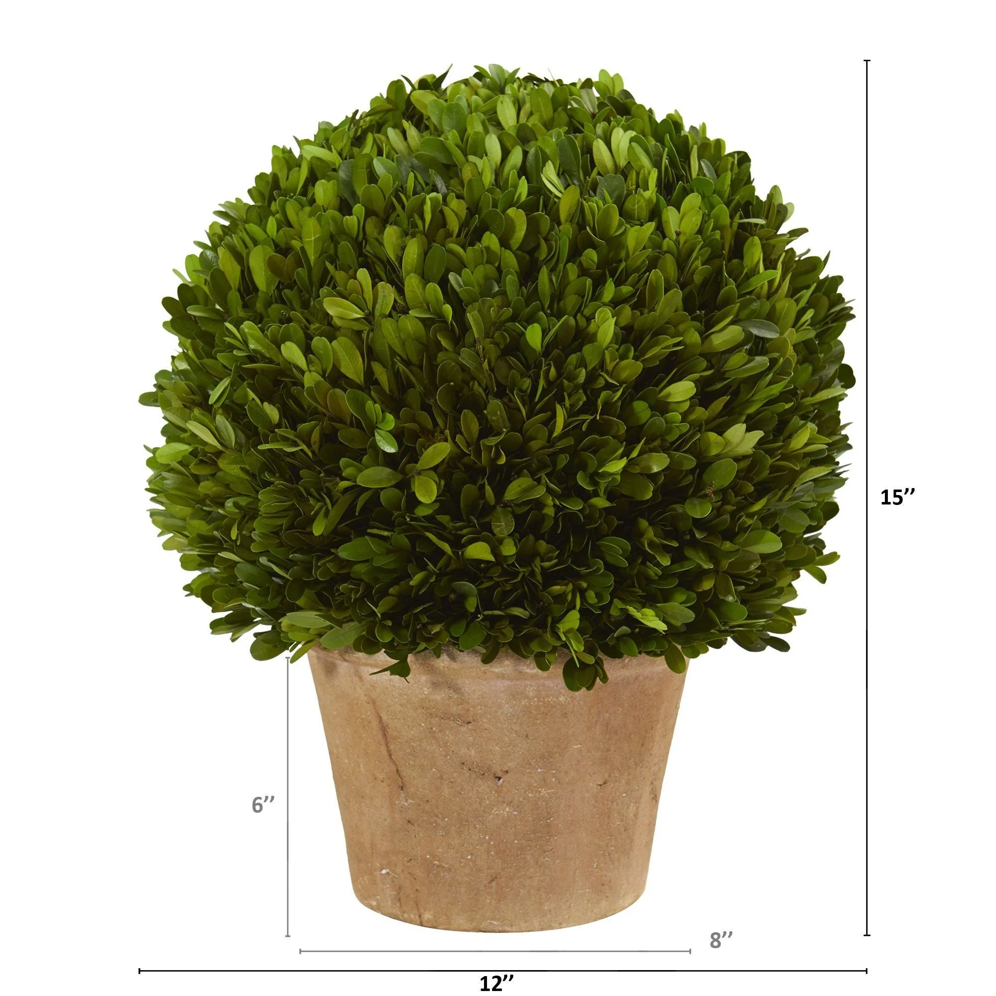 15” Boxwood Ball Preserved Plant in Planter - Image 2
