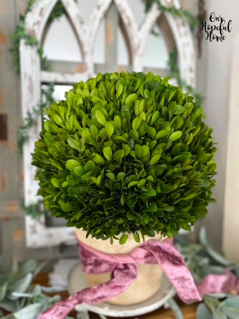 15” Boxwood Ball Preserved Plant in Planter - Image 3