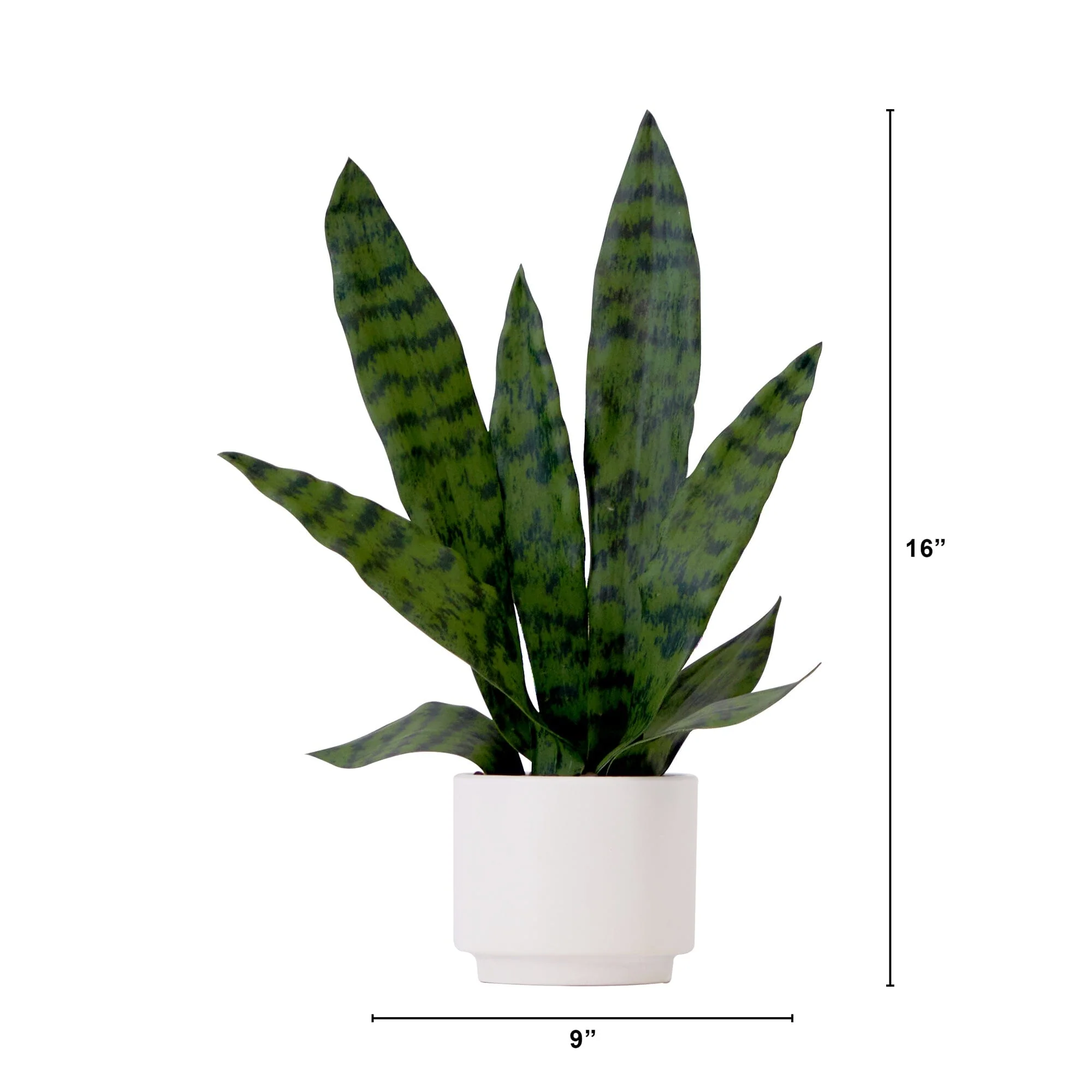 16" Artificial Sansevieria Snake Plant with Decorative Planter - Image 5