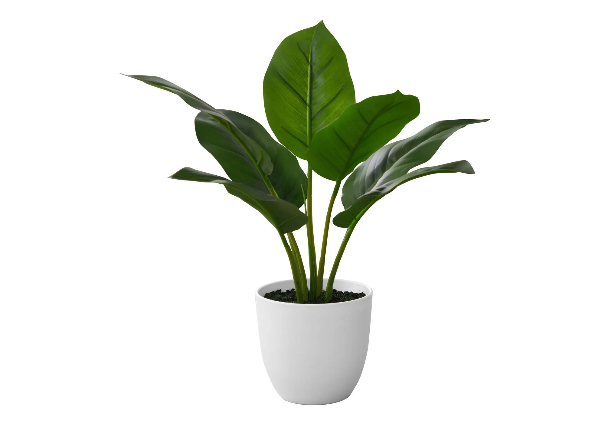 17" Tall, Artificial Plant, Aureum, Indoor, Faux, Fake, Table, Greenery, Potted, Real Touch, Decorative - Green / White - Image 2
