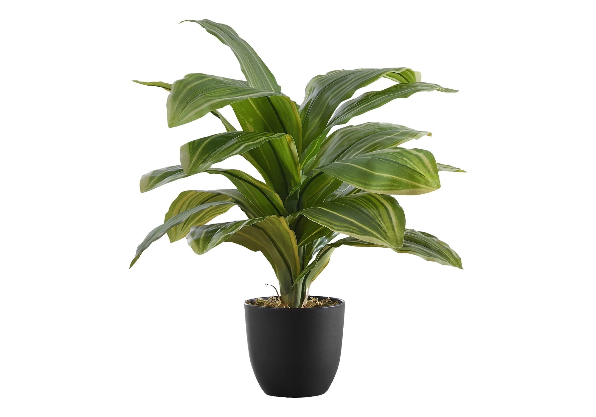 17" Tall, Artificial Plant, Dracaena, Indoor, Faux, Fake, Table, Greenery, Potted, Real Touch, Decorative - Green / Black - Image 2