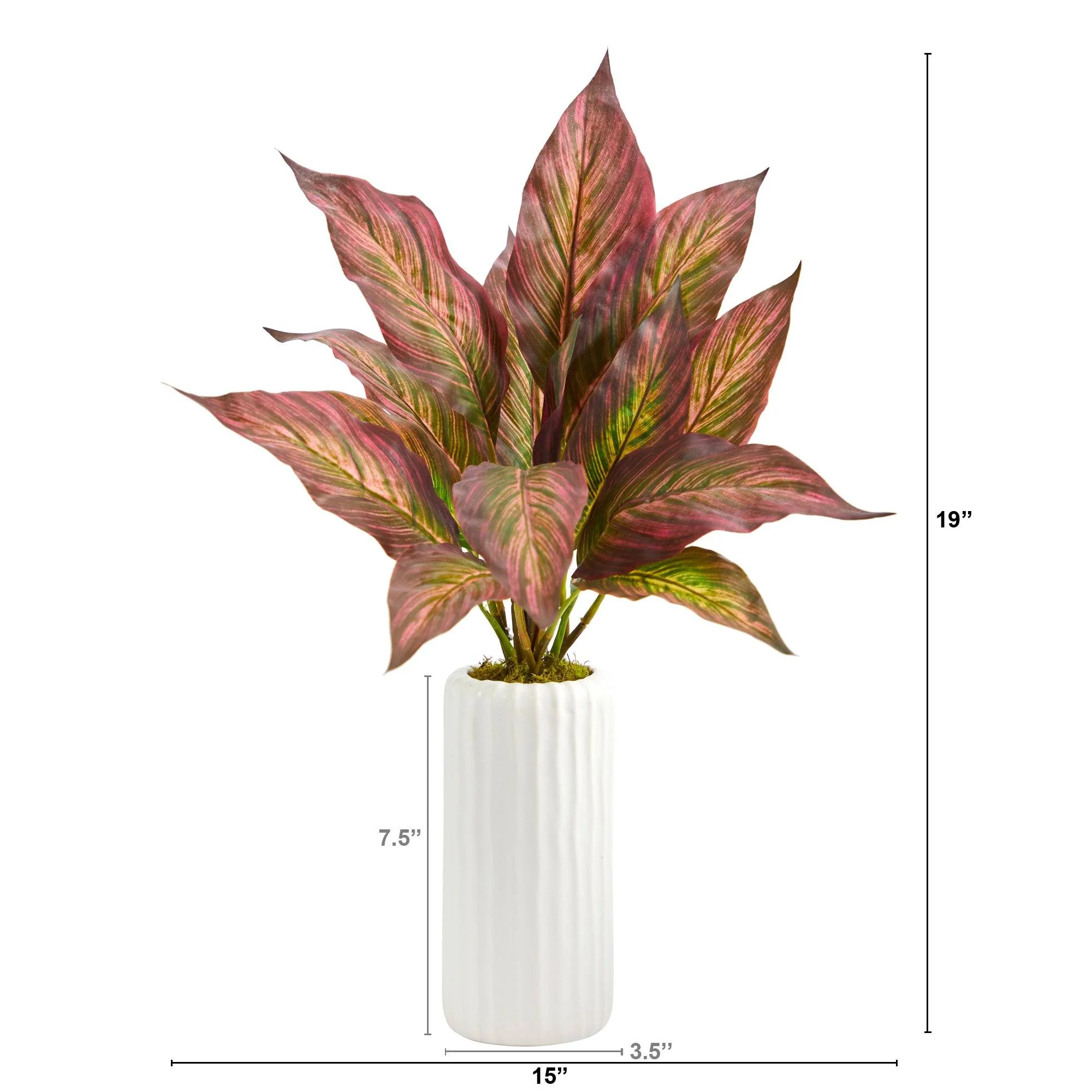 19” Musa Leaf Artificial Plant in White Planter - Image 3
