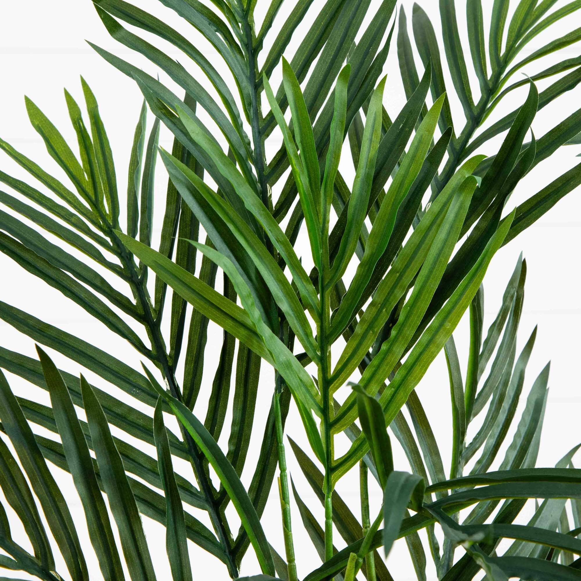 2.5' Areca Palm Tree UV Resistant (Indoor/Outdoor) - Image 2