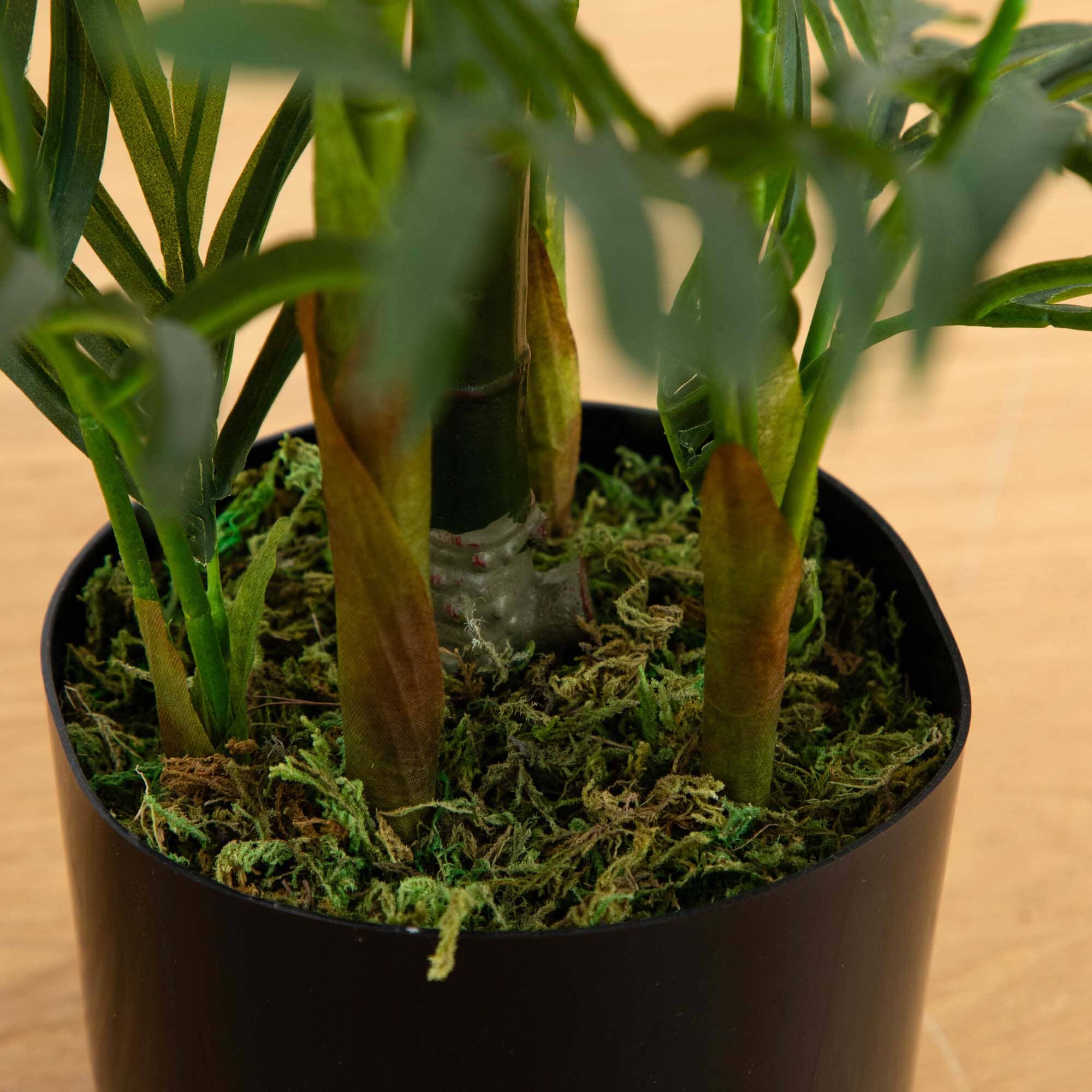 2.5' Areca Palm Tree UV Resistant (Indoor/Outdoor) - Image 3