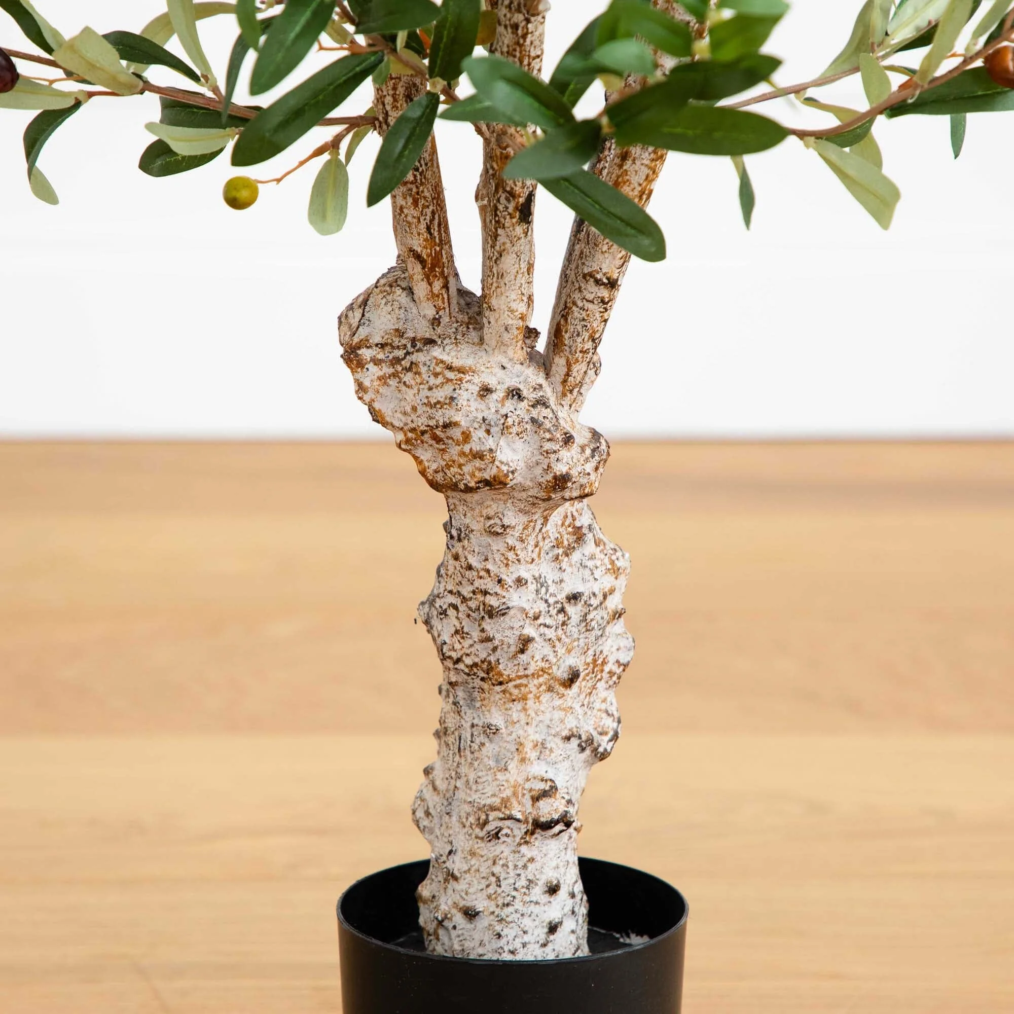 2.5' Olive Silk Tree - Image 3