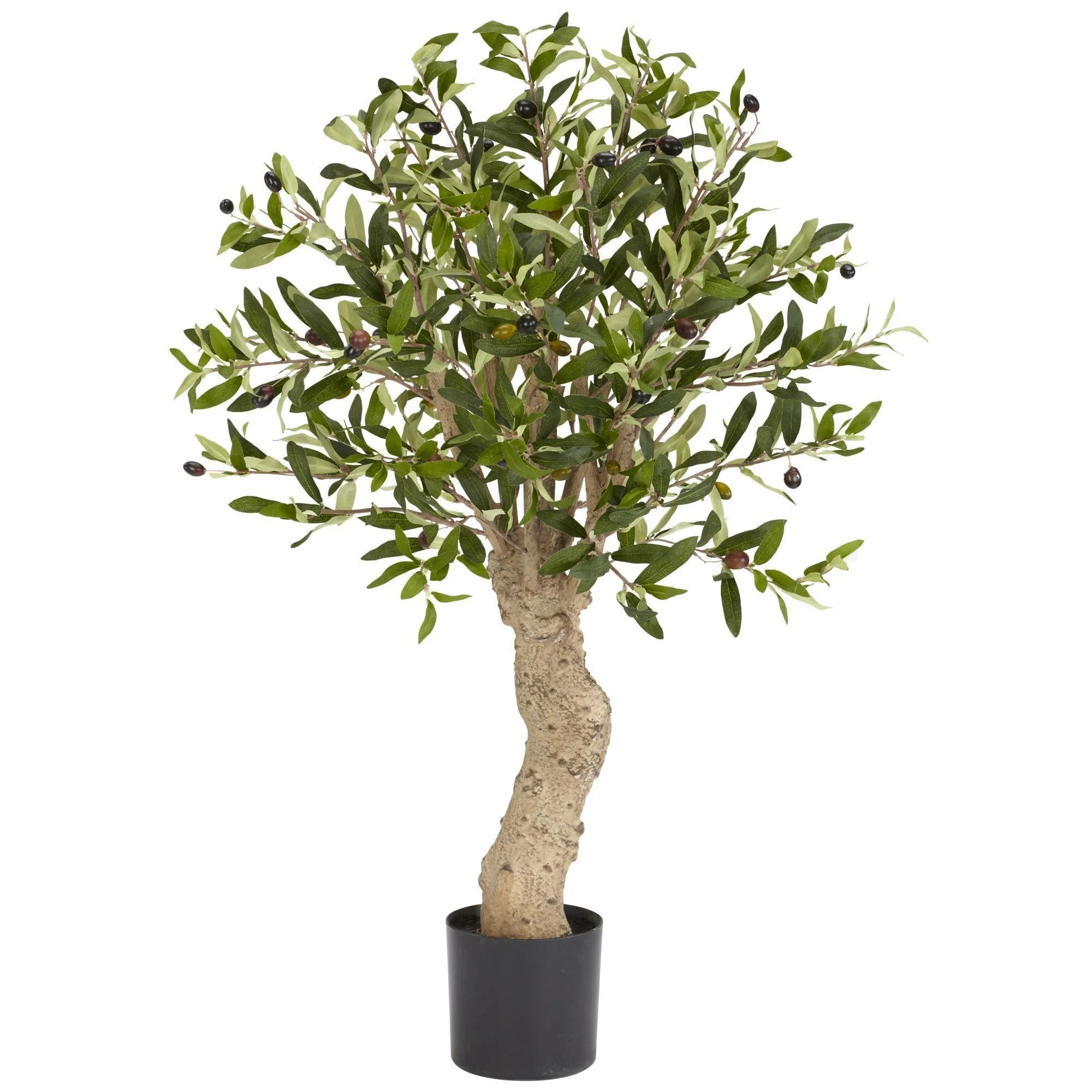 2.5' Olive Silk Tree - Image 4