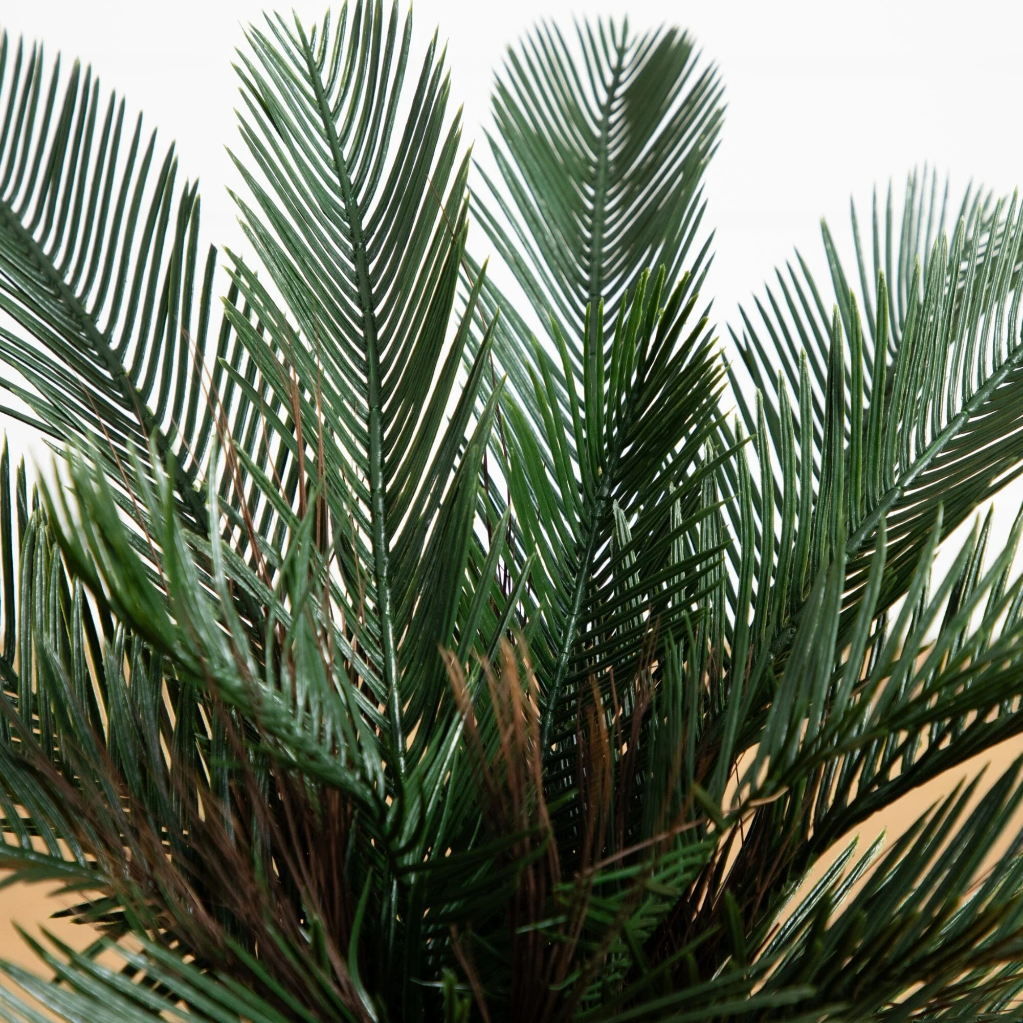 2’ Cycas Artificial Tree UV Resistant (Indoor/Outdoor) - Image 2
