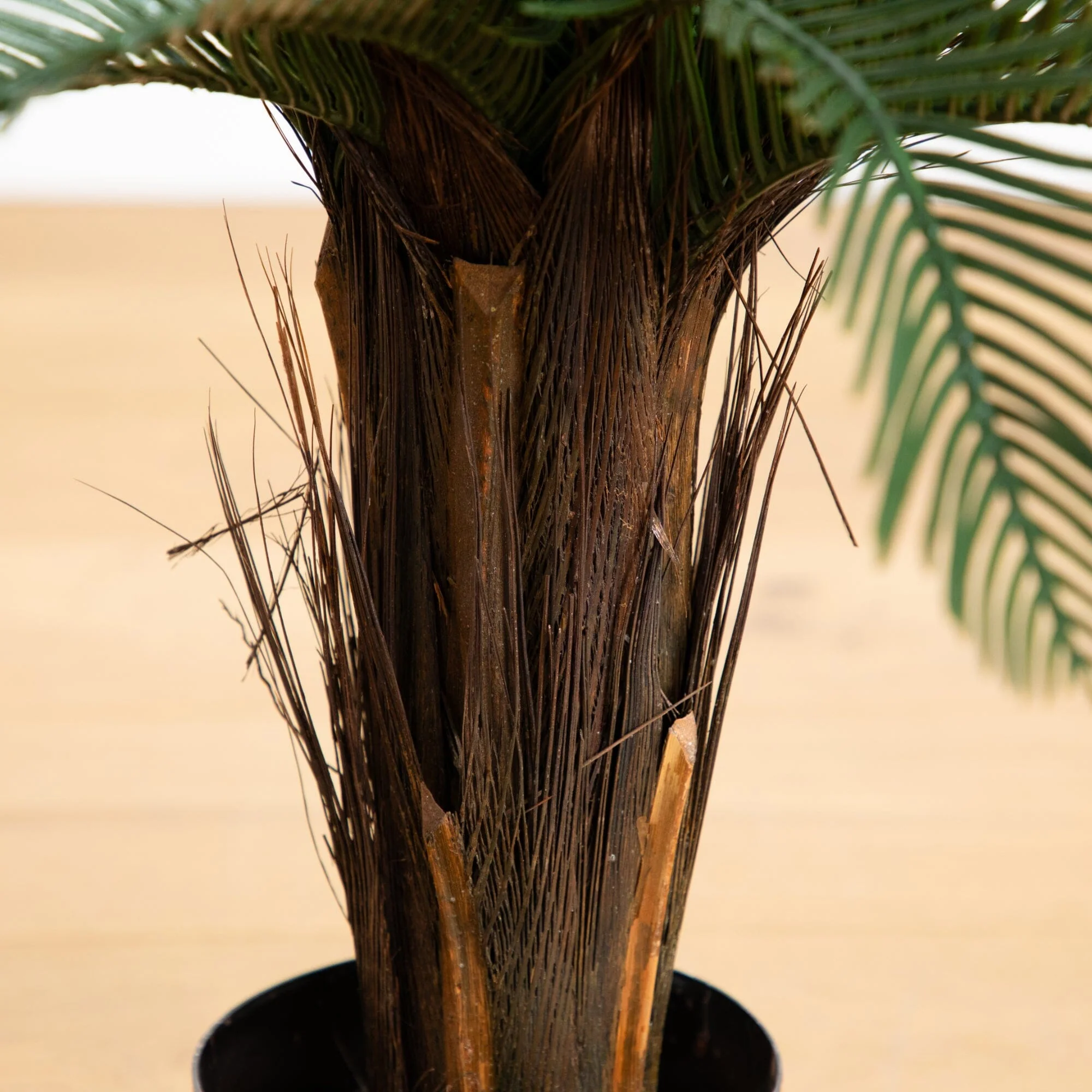 2’ Cycas Artificial Tree UV Resistant (Indoor/Outdoor) - Image 3