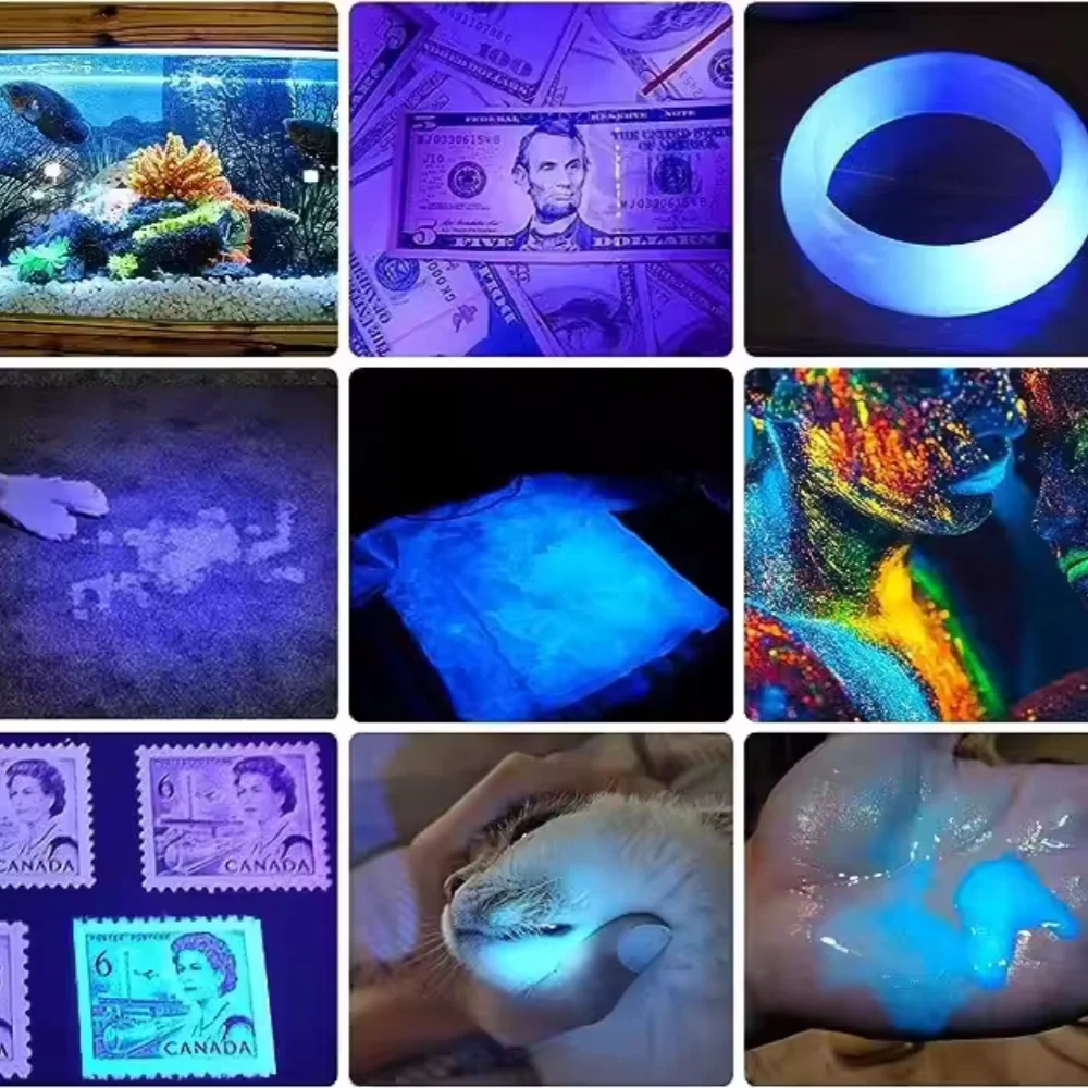 2 in 1 UV Flashlight 395nm Type C Rechargeable Blacklight Pet Stain Detection - Image 6