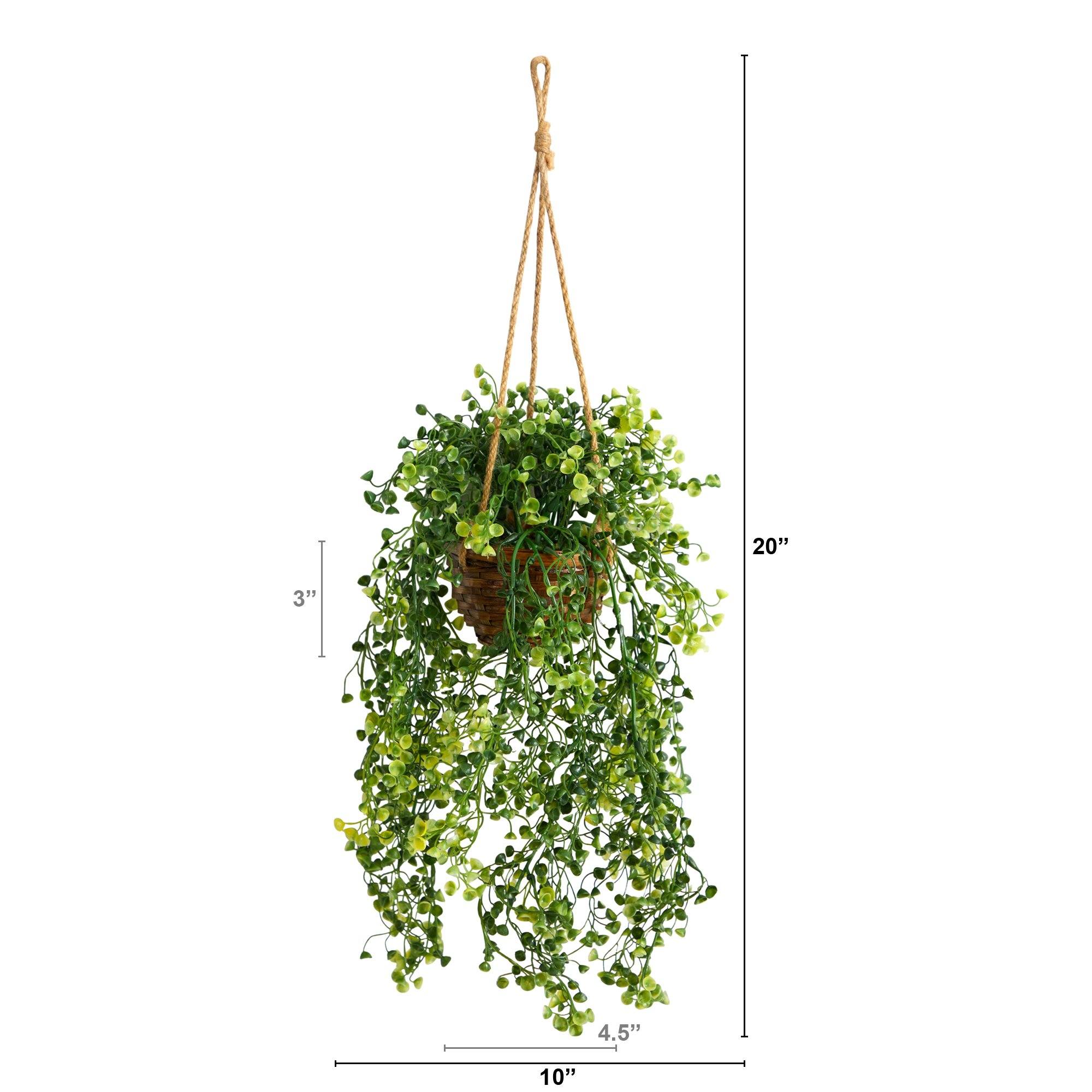 20” Baby Tear Artificial Plant in Hanging Basket - Image 2