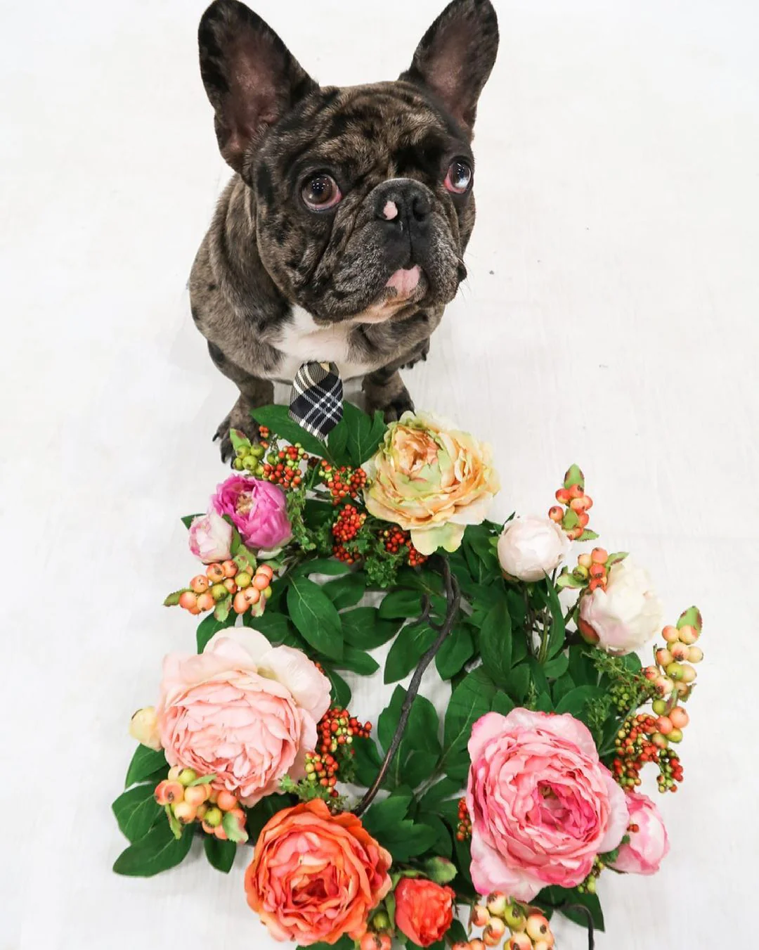 20'' Mixed Peony & Berry Wreath - Image 3