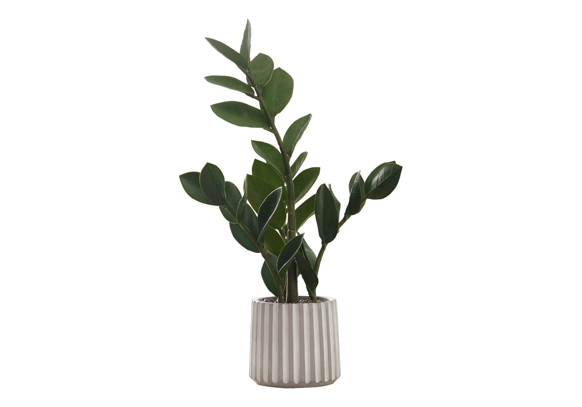 20" Tall, Artificial Plant, Zz, Indoor, Faux, Fake, Table, Greenery, Potted, Real Touch, Decorative - Green / Gray - Image 4