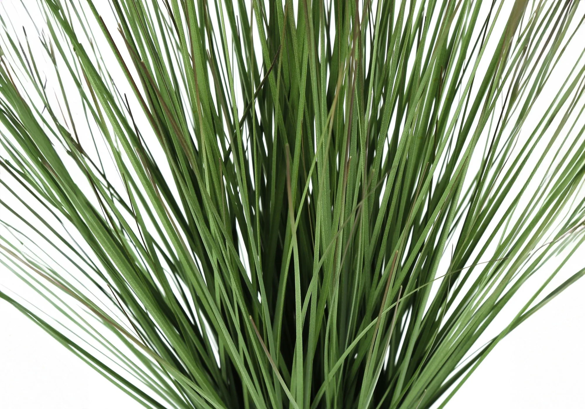 21" Tall, Artificial Plant, Grass, Indoor, Faux, Fake, Table, Greenery, Potted, Real Touch, Decorative - Green / White - Image 4