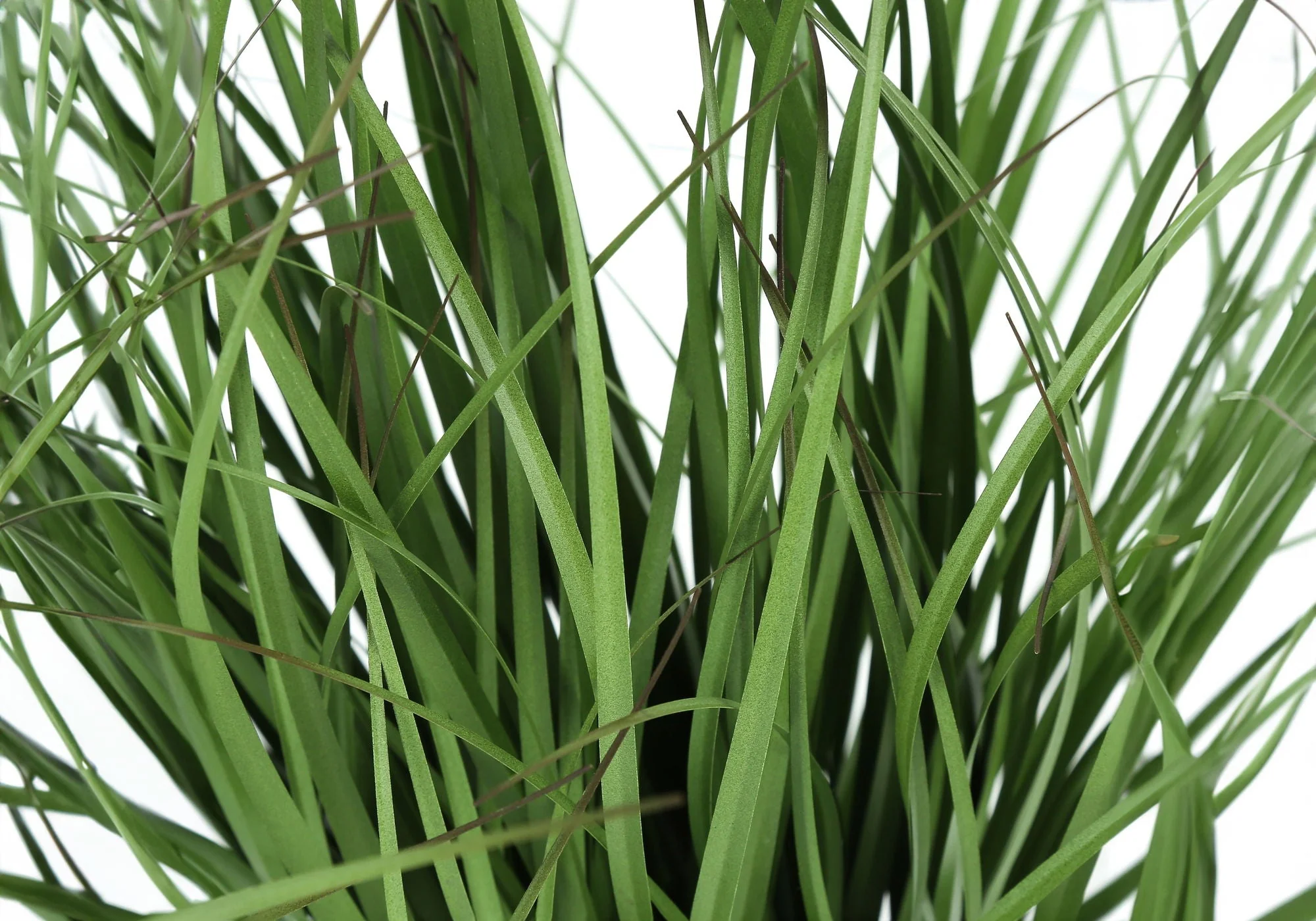 23" Tall, Artificial Plant, Grass, Indoor, Faux, Fake, Table, Greenery, Potted, Real Touch, Decorative - Green / Black - Image 2