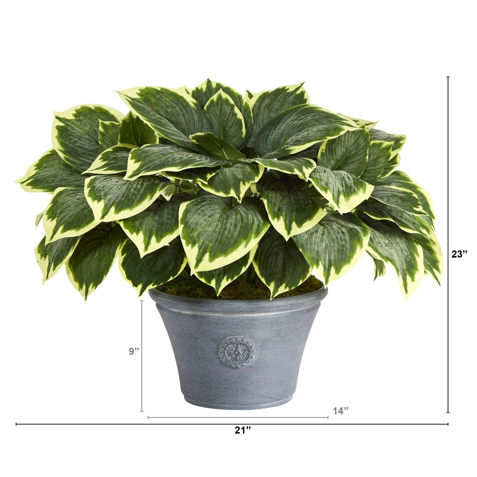 23” Variegated Hosta Artificial Plant in Gray Planter - Image 2