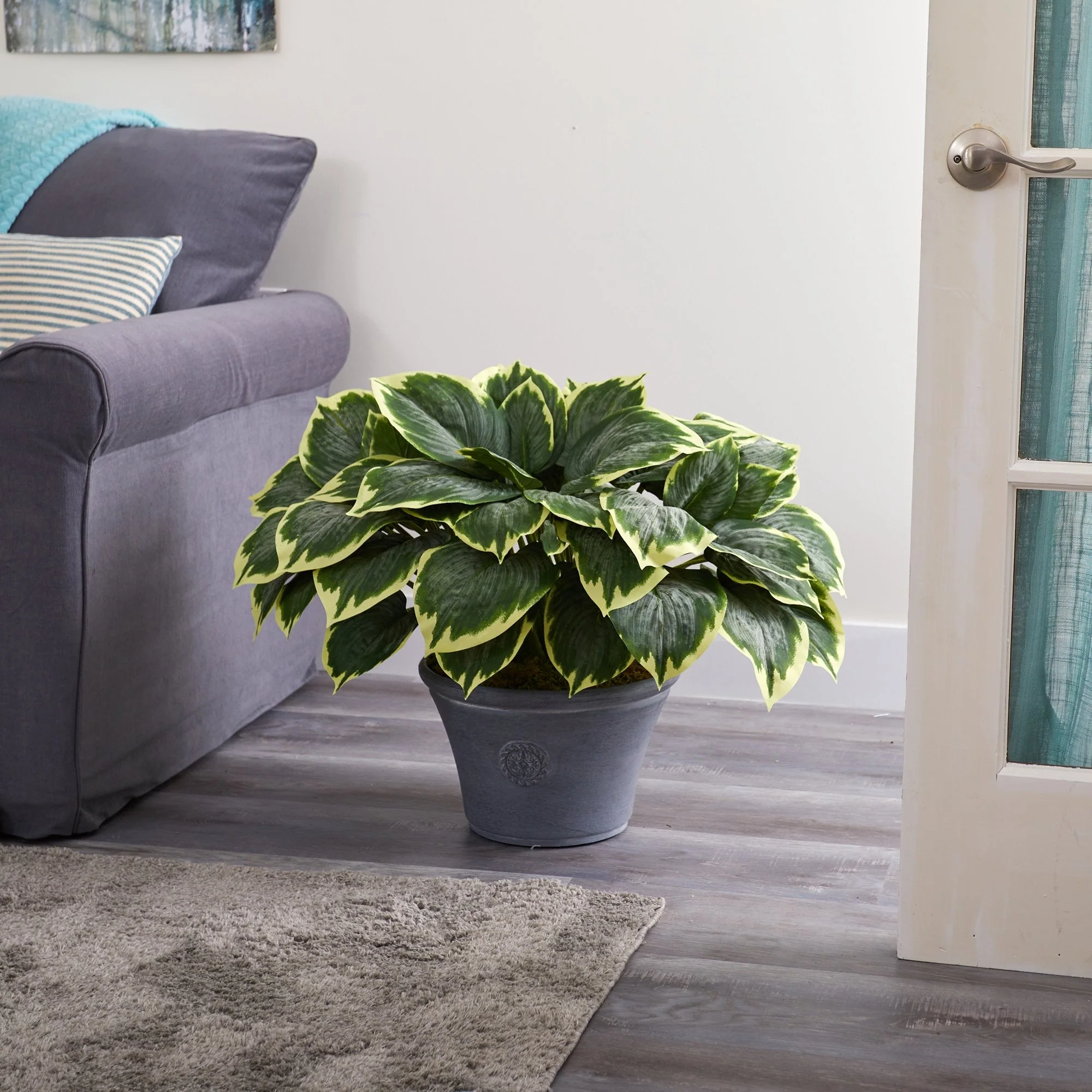23” Variegated Hosta Artificial Plant in Gray Planter - Image 3