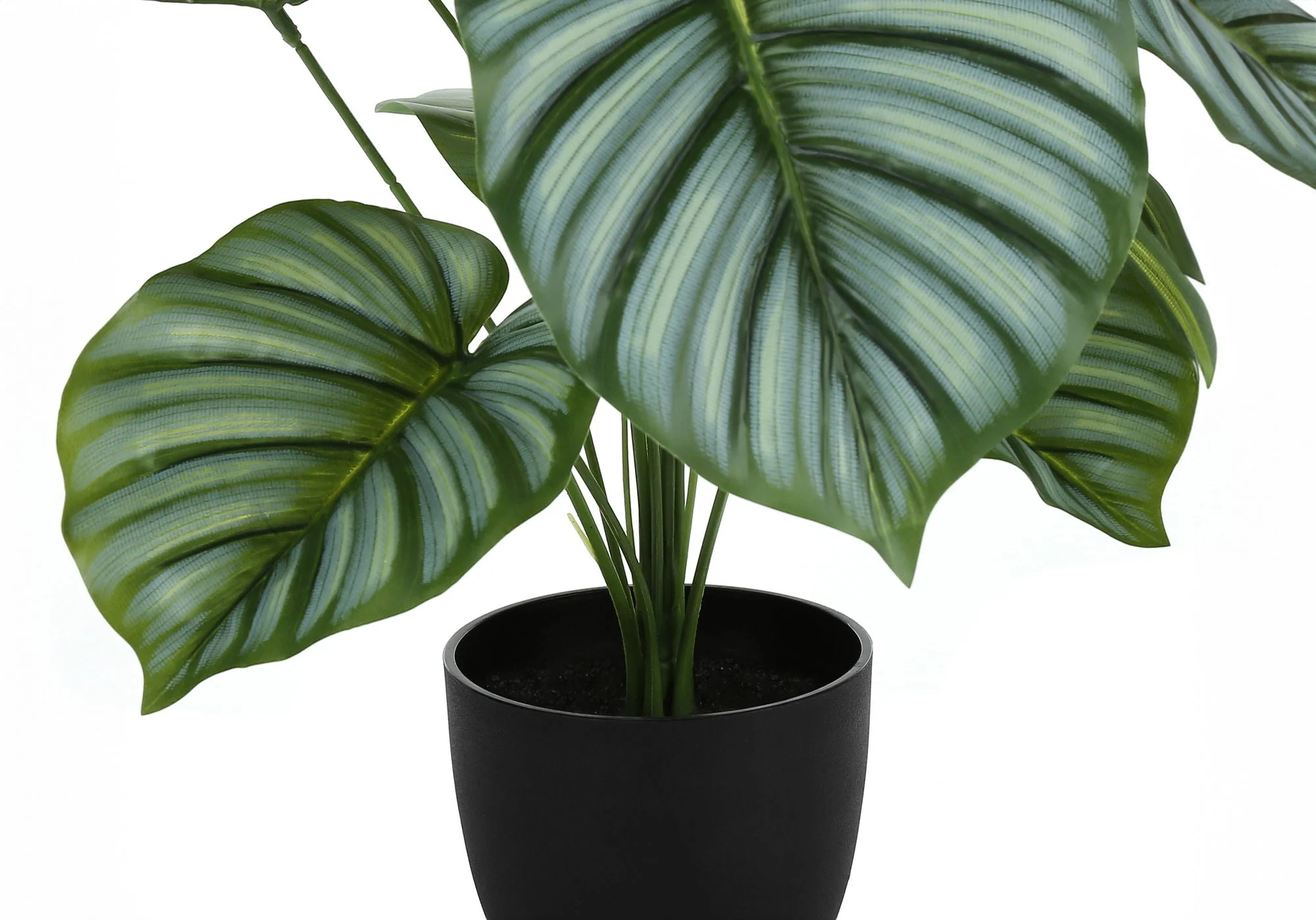 24" Tall, Artificial Plant, Calathea, Indoor, Faux, Fake, Table, Greenery, Potted, Real Touch, Decorative - Green / Black - Image 2