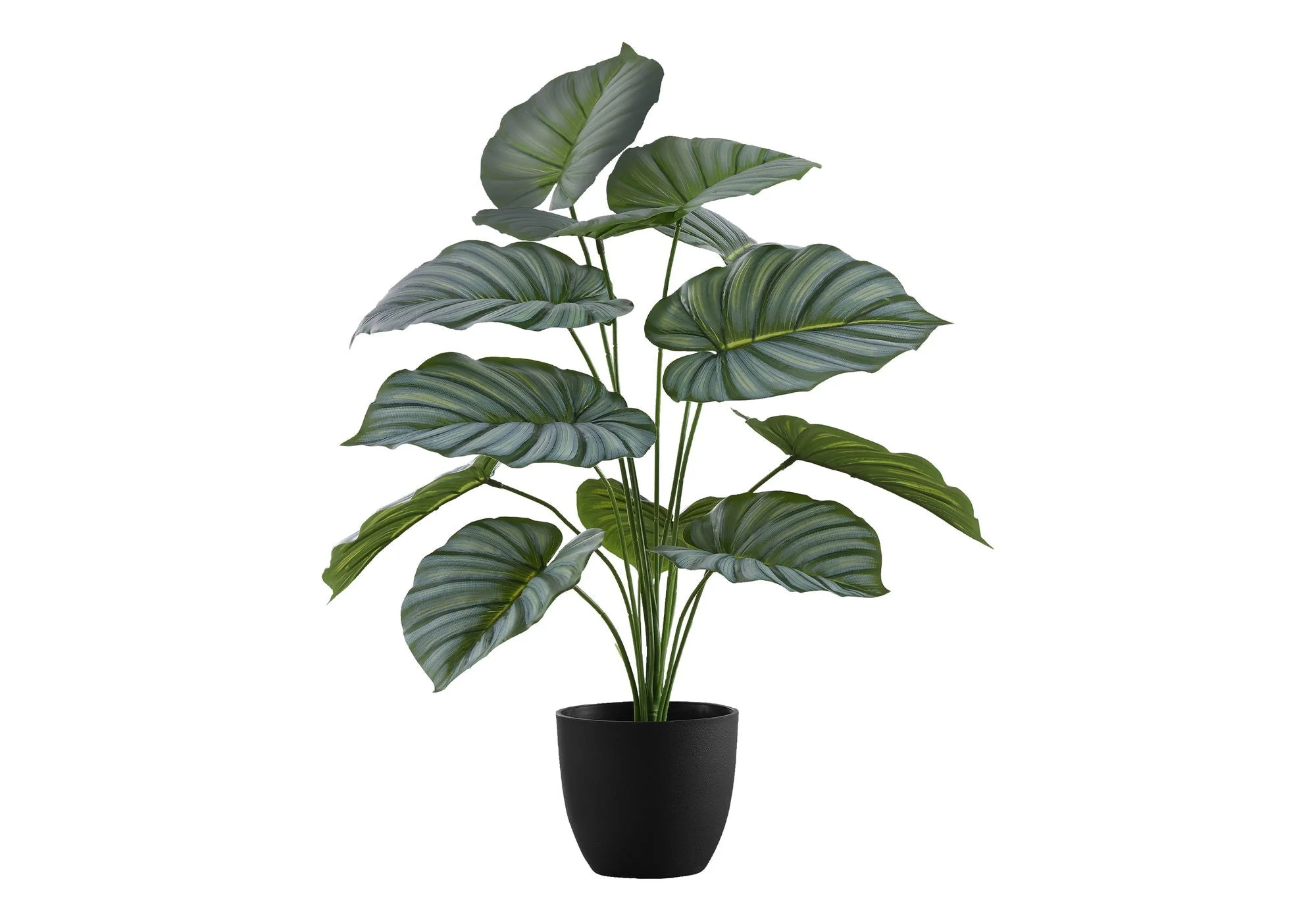 24" Tall, Artificial Plant, Calathea, Indoor, Faux, Fake, Table, Greenery, Potted, Real Touch, Decorative - Green / Black - Image 3