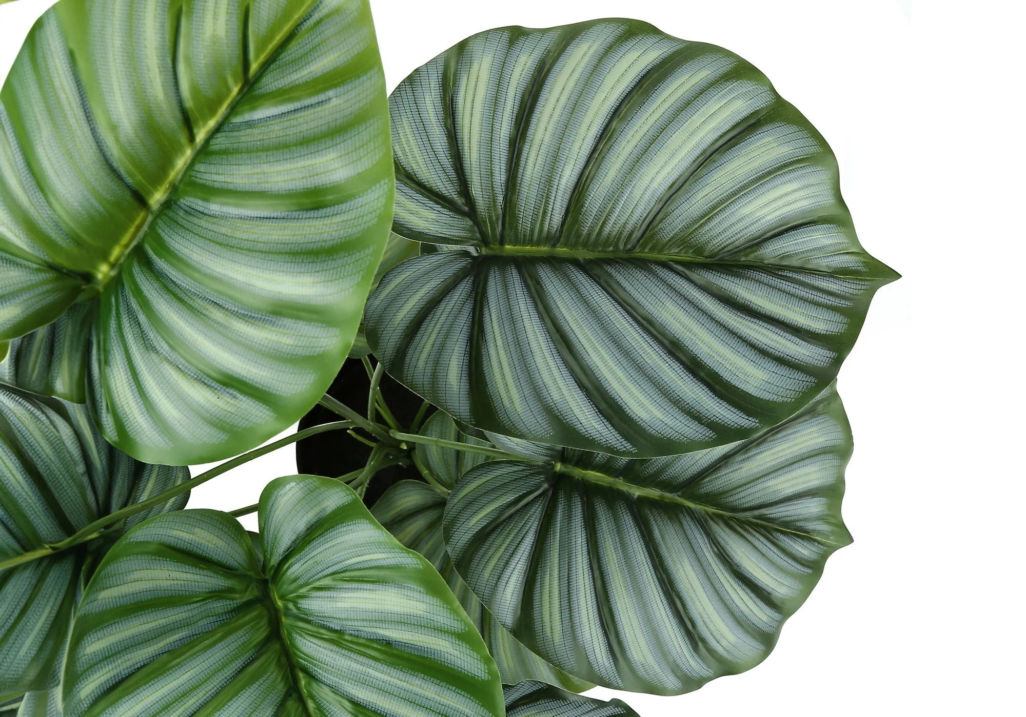 24" Tall, Artificial Plant, Calathea, Indoor, Faux, Fake, Table, Greenery, Potted, Real Touch, Decorative - Green / Black - Image 4
