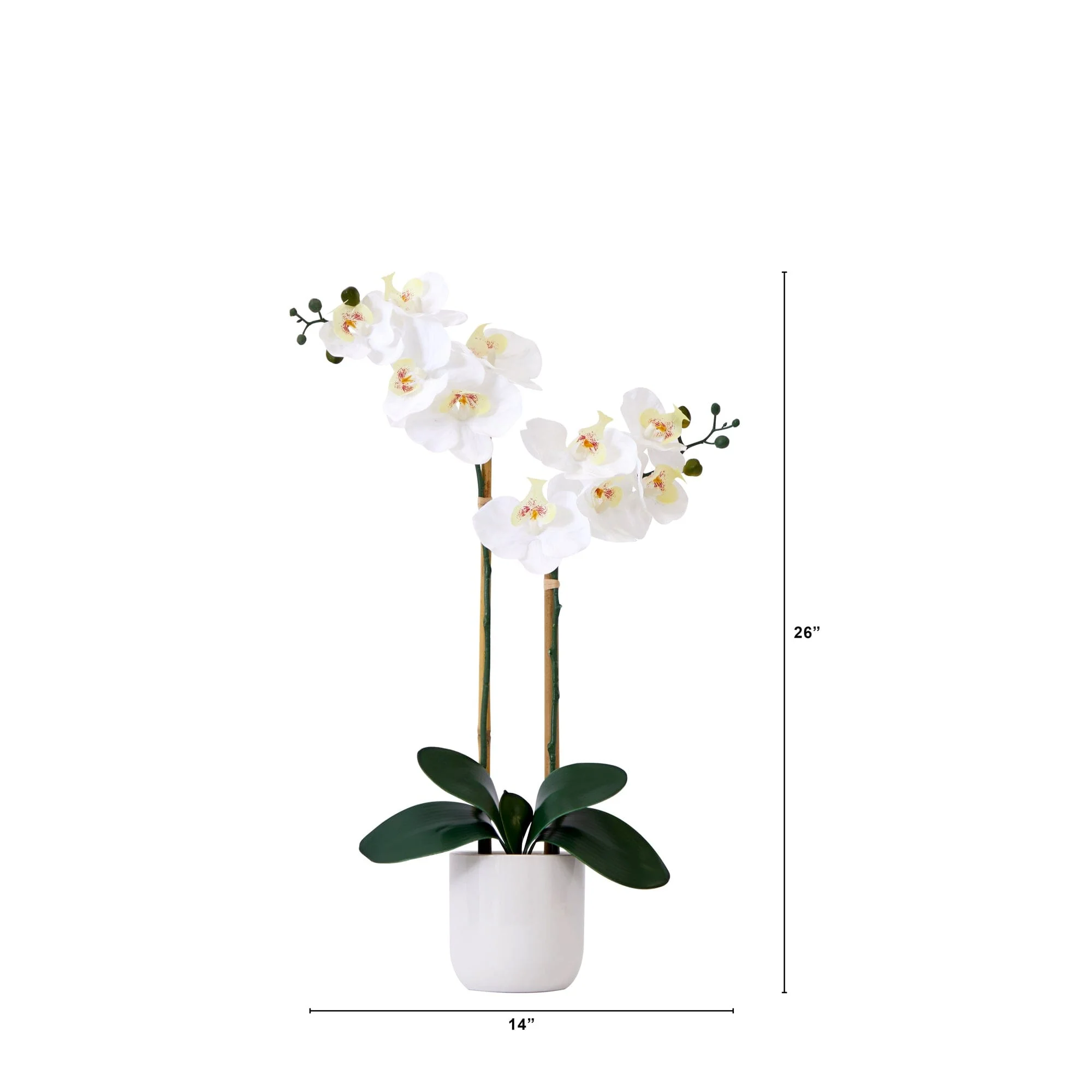 26” Artificial Real to Touch Double Orchid Phalaenopsis with Decorative Vase - Image 3