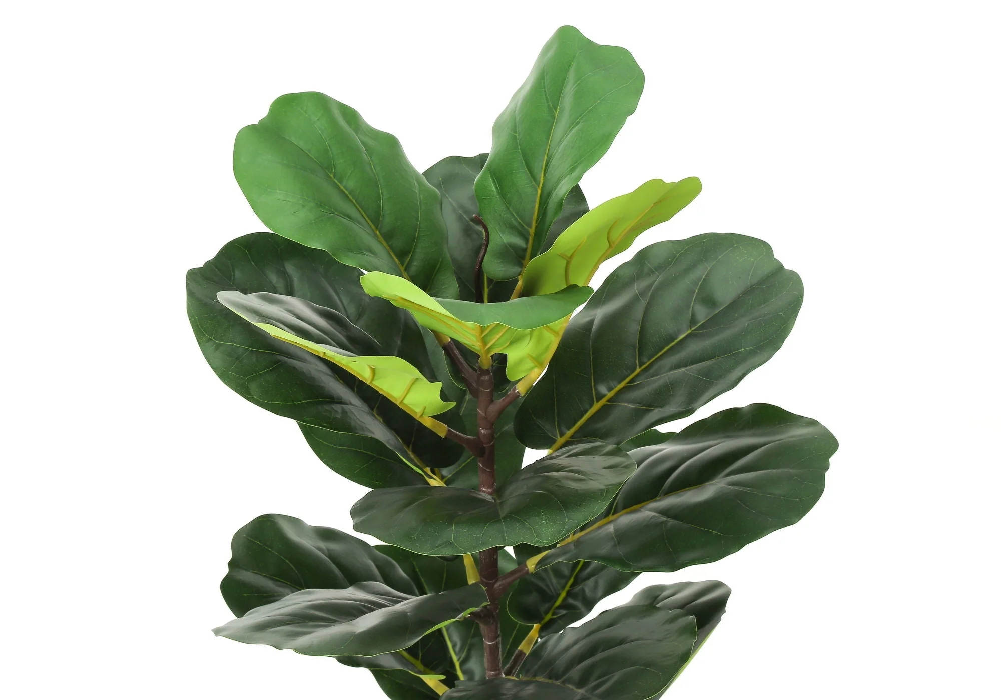 28" Tall, Artificial Plant, Fiddle Tree, Indoor, Faux, Fake, Floor, Greenery, Potted, Real Touch, Decorative - Green / Beige - Image 2
