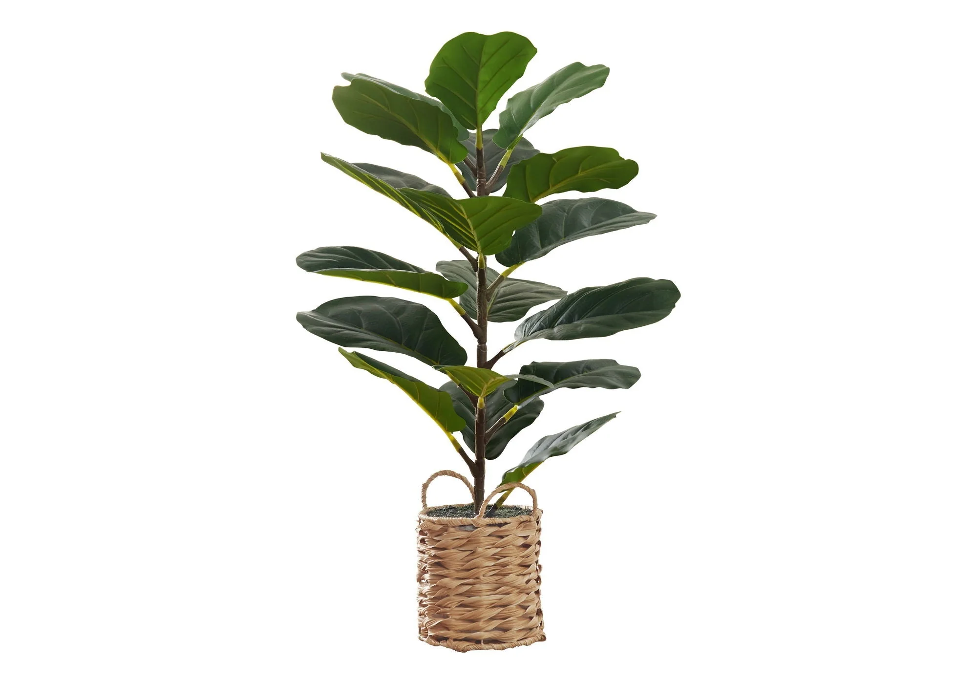 28" Tall, Artificial Plant, Fiddle Tree, Indoor, Faux, Fake, Floor, Greenery, Potted, Real Touch, Decorative - Green / Beige - Image 3