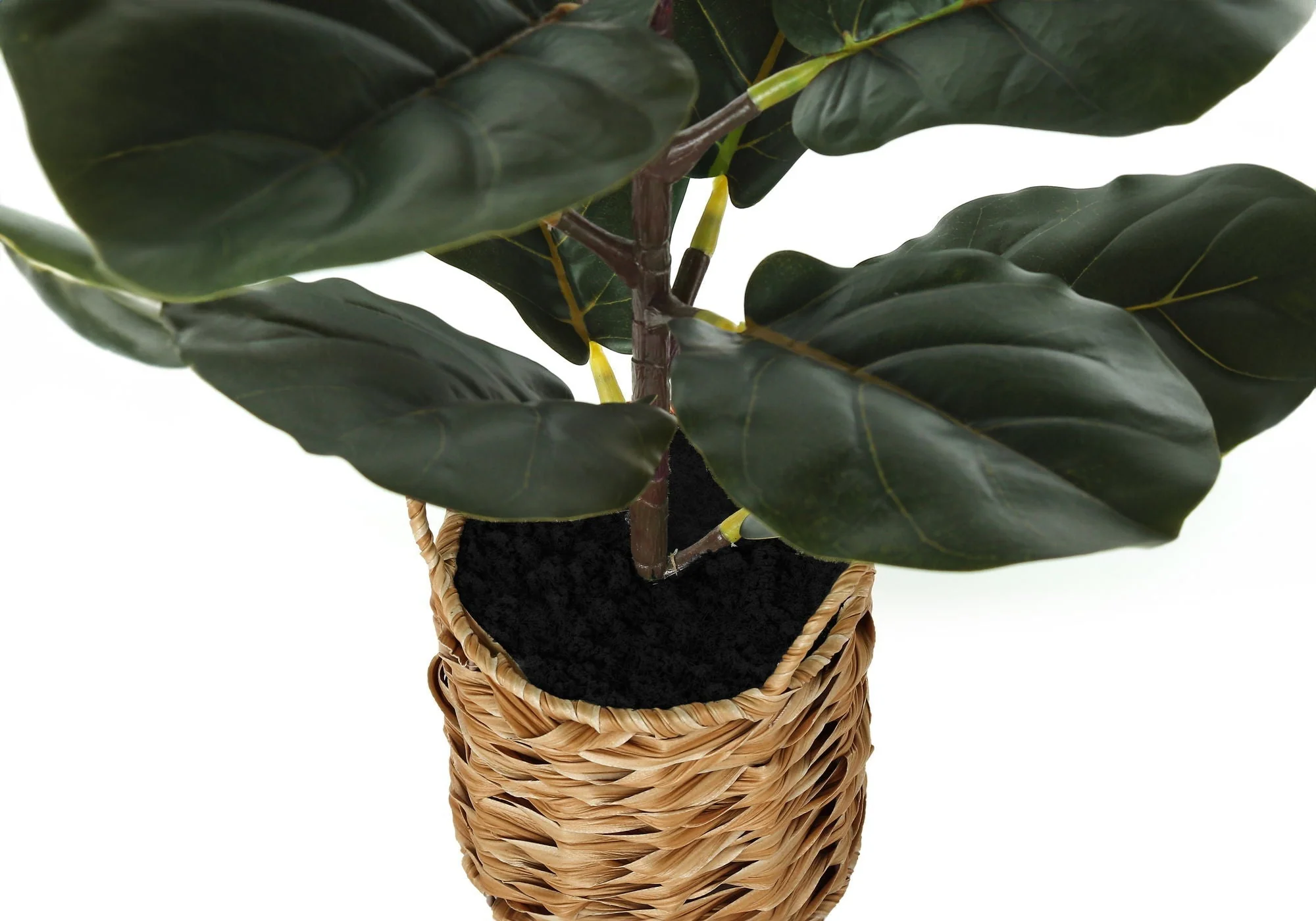 28" Tall, Artificial Plant, Fiddle Tree, Indoor, Faux, Fake, Floor, Greenery, Potted, Real Touch, Decorative - Green / Beige - Image 4