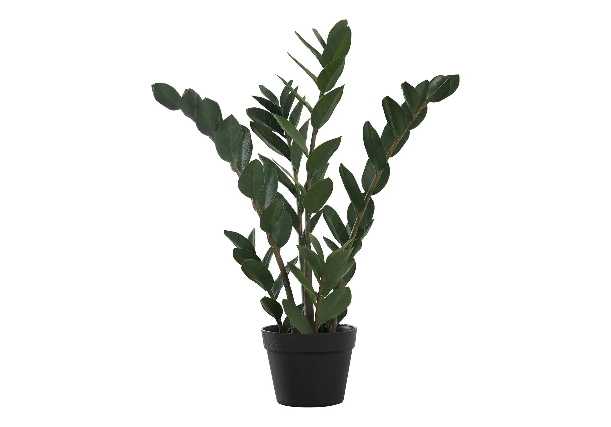 29" Tall, Artificial Plant, Zz Tree, Indoor, Faux, Fake, Floor, Greenery, Potted, Real Touch, Decorative - Green / Black - Image 2