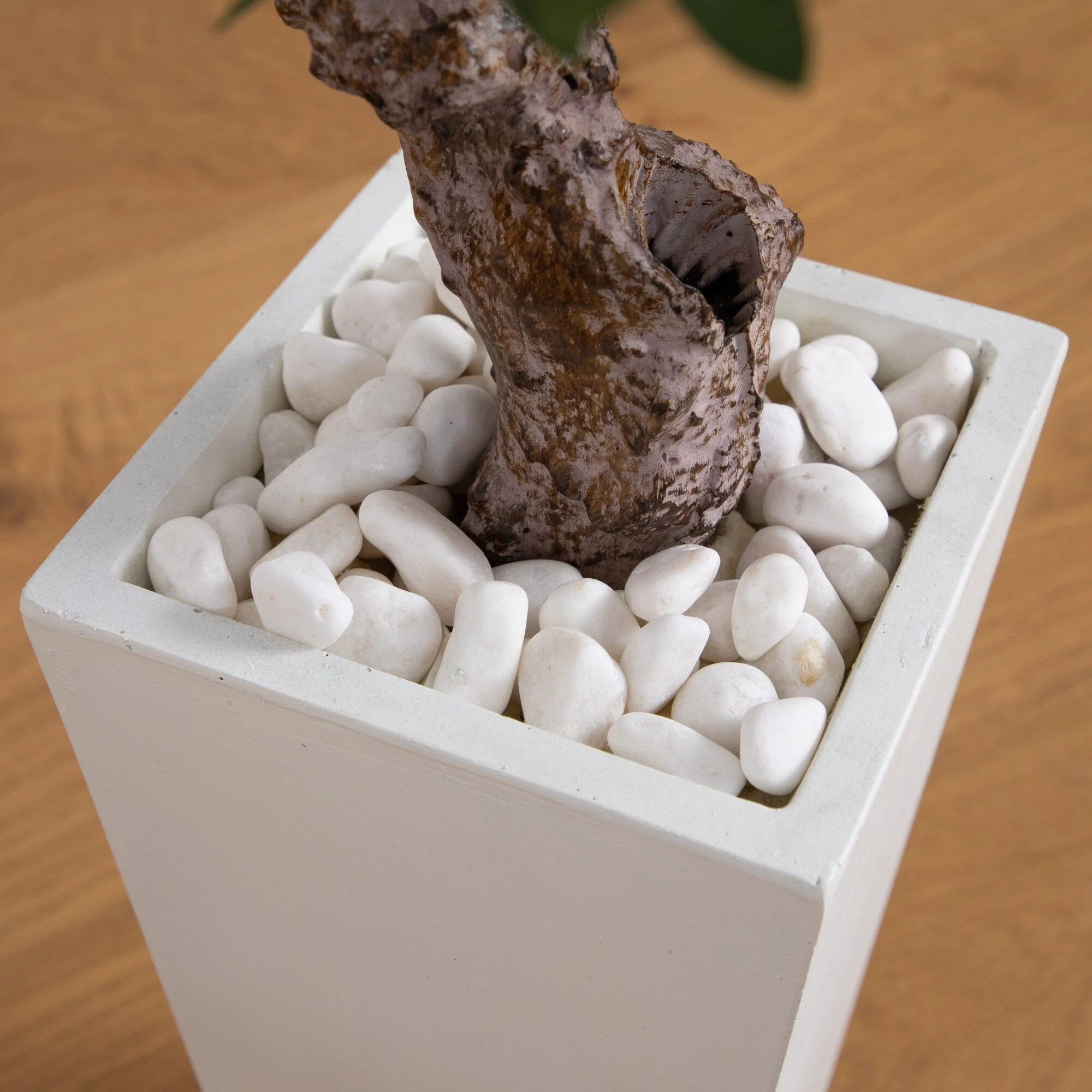 3.5’ Olive Tree in White Tower Planter - Image 4