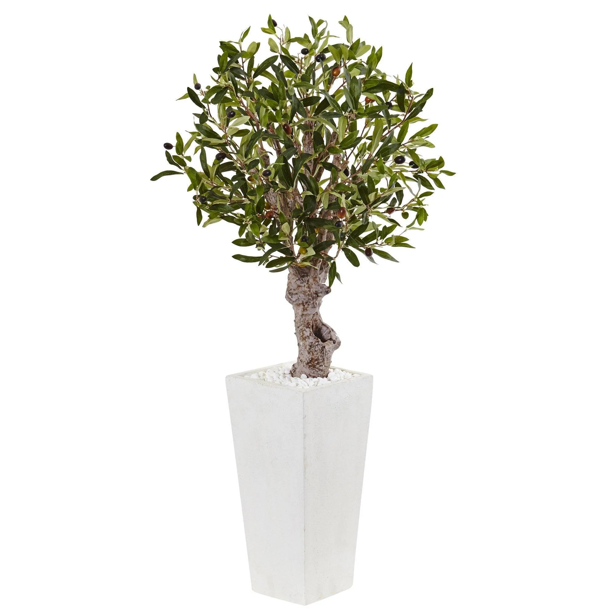 3.5’ Olive Tree in White Tower Planter - Image 5