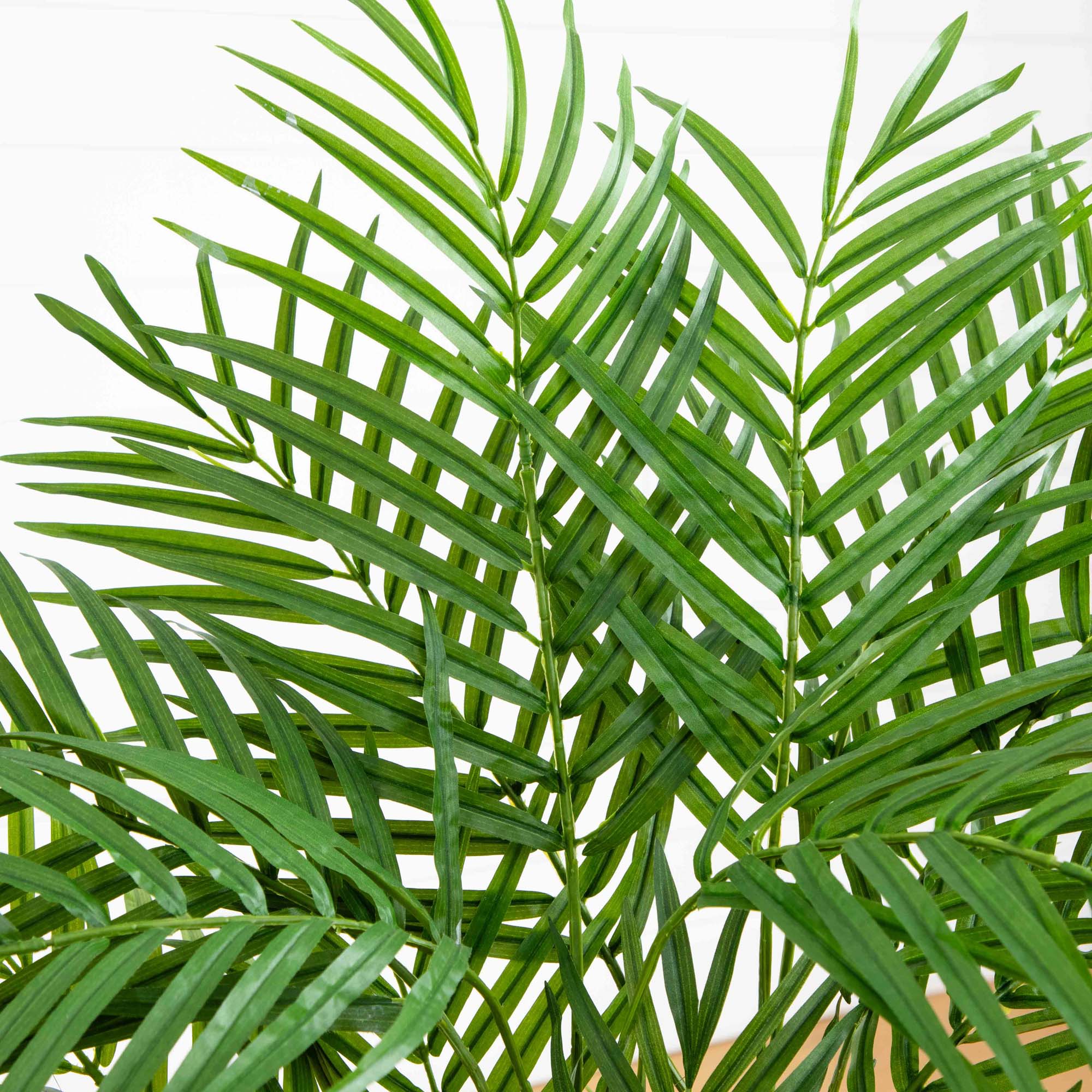 3' Areca Silk Palm Tree - Image 2