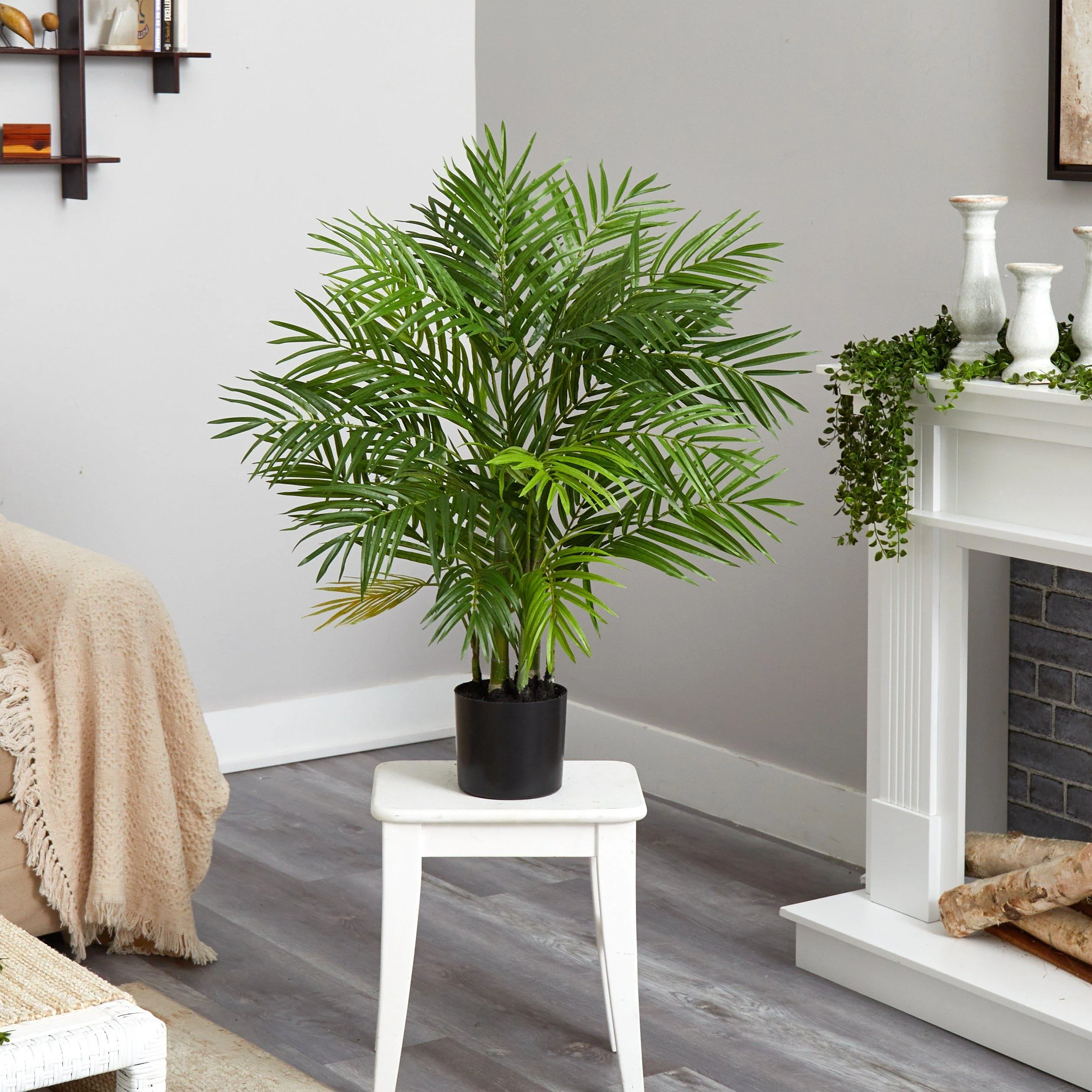 3' Areca Silk Palm Tree - Image 3