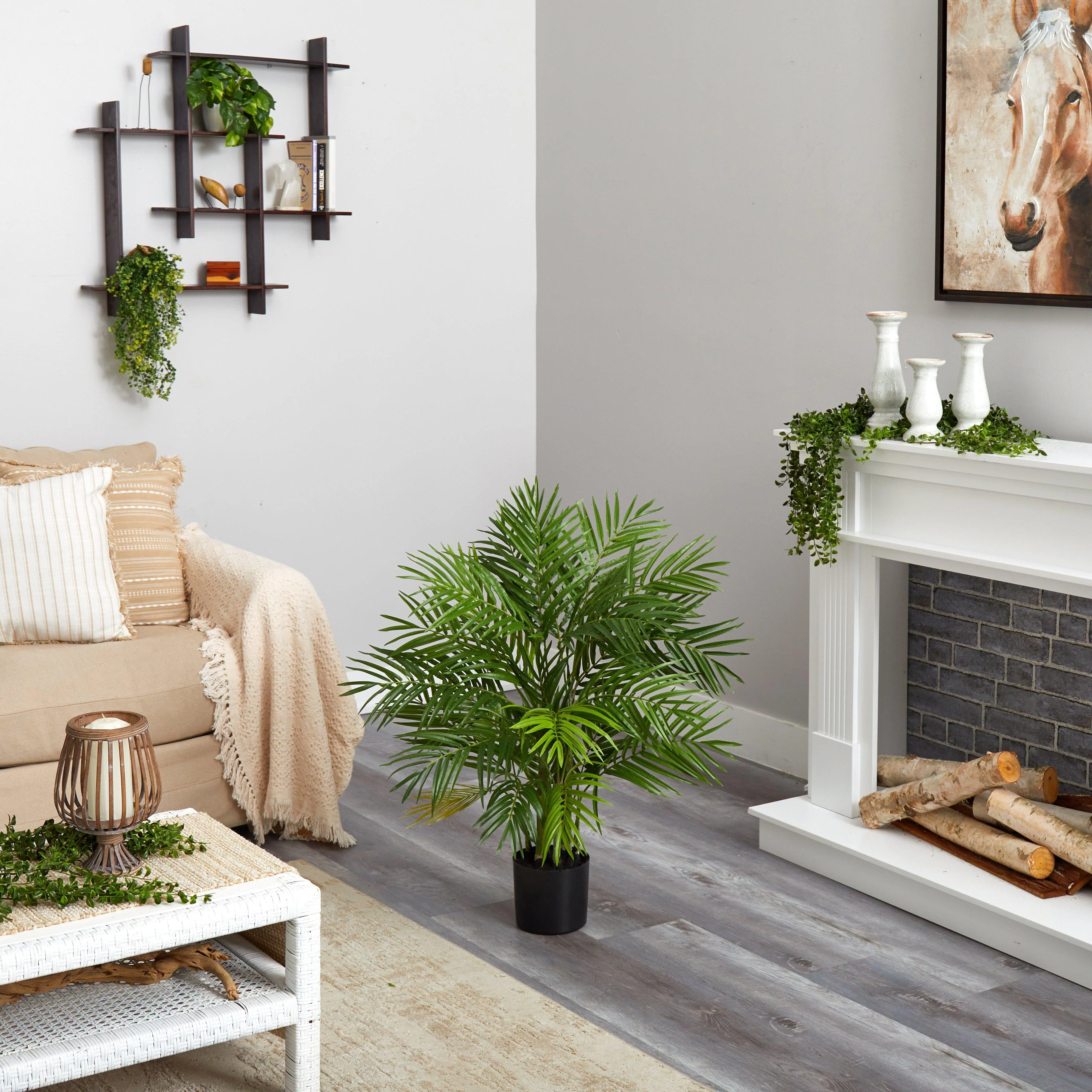 3' Areca Silk Palm Tree - Image 4