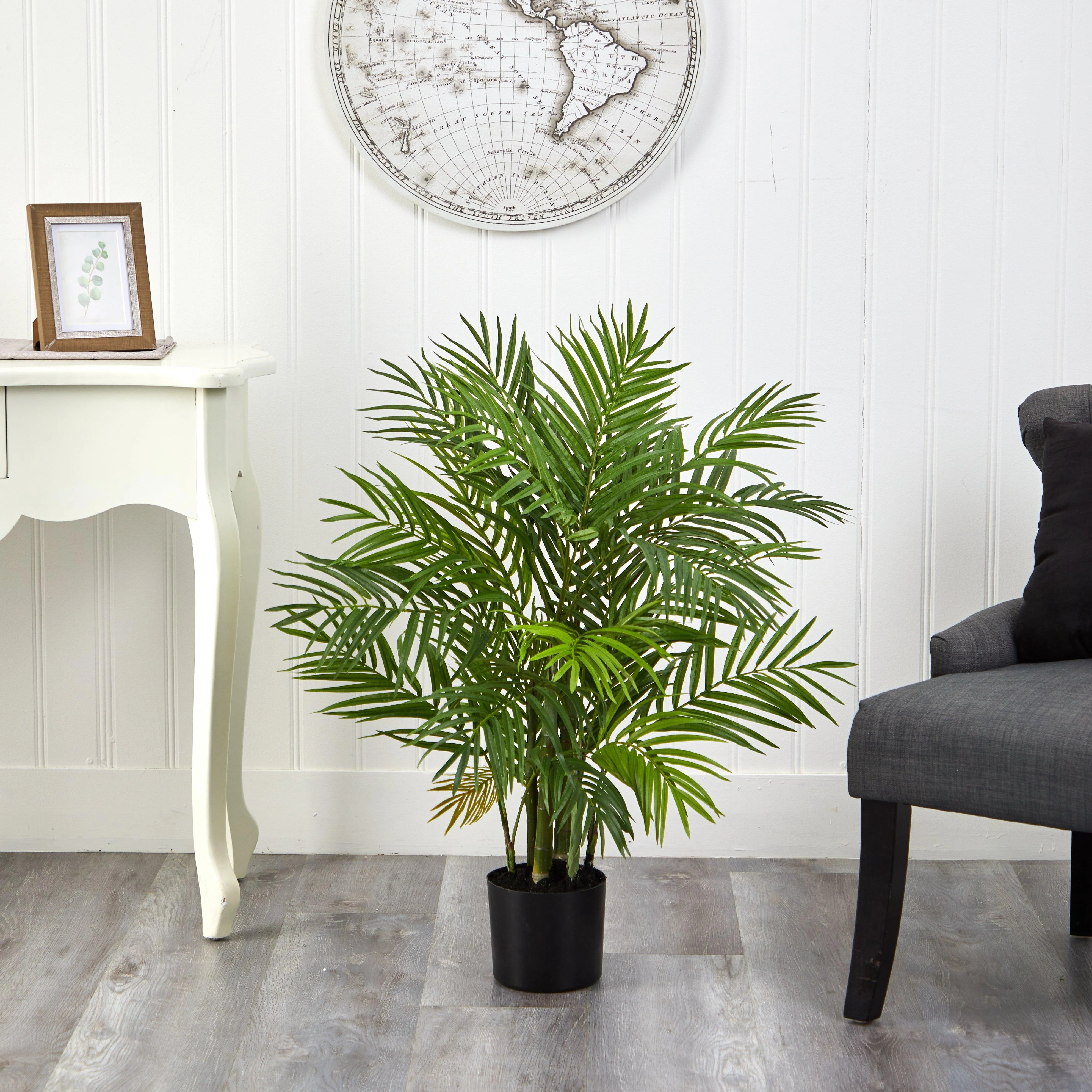 3' Areca Silk Palm Tree - Image 5