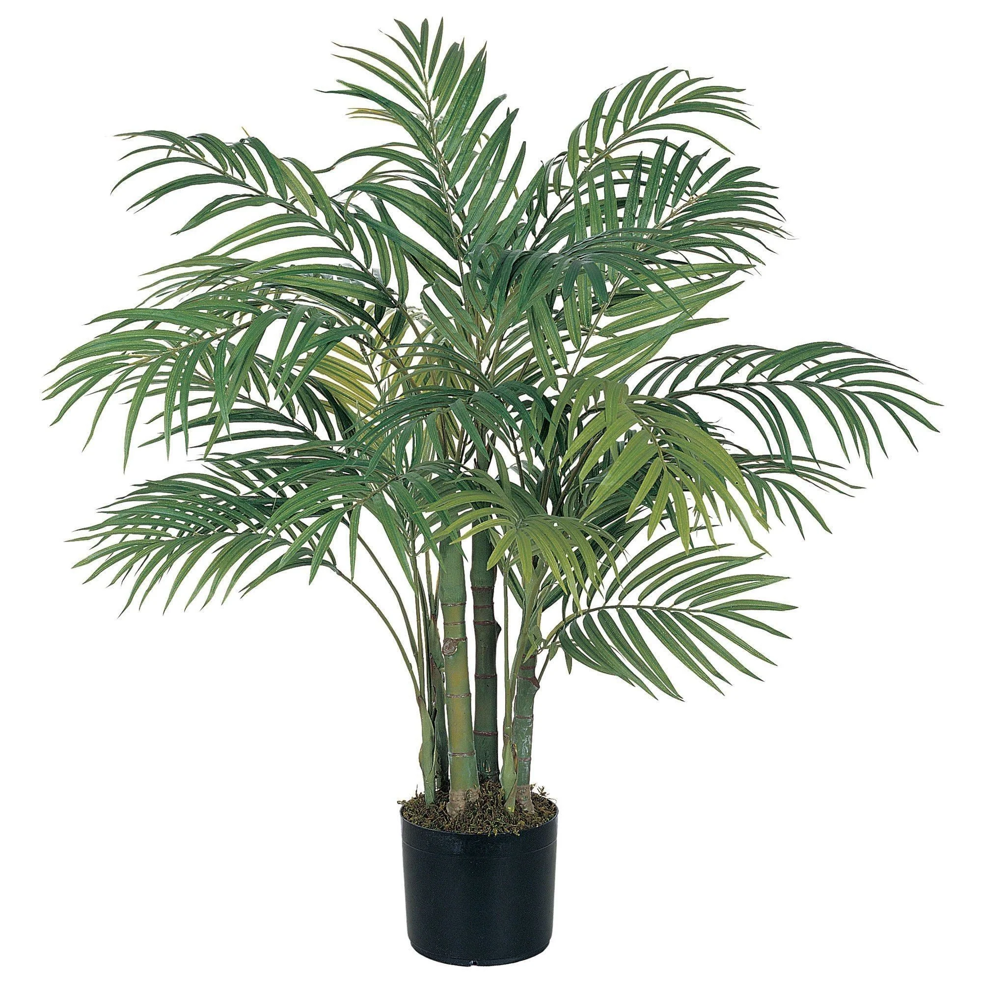 3' Areca Silk Palm Tree - Image 7